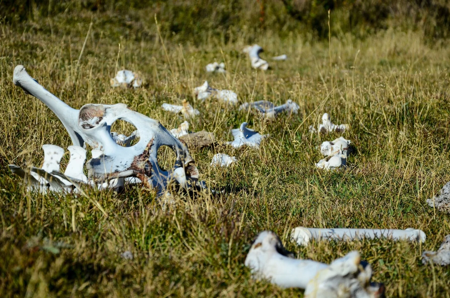 DSC_1150.jpg