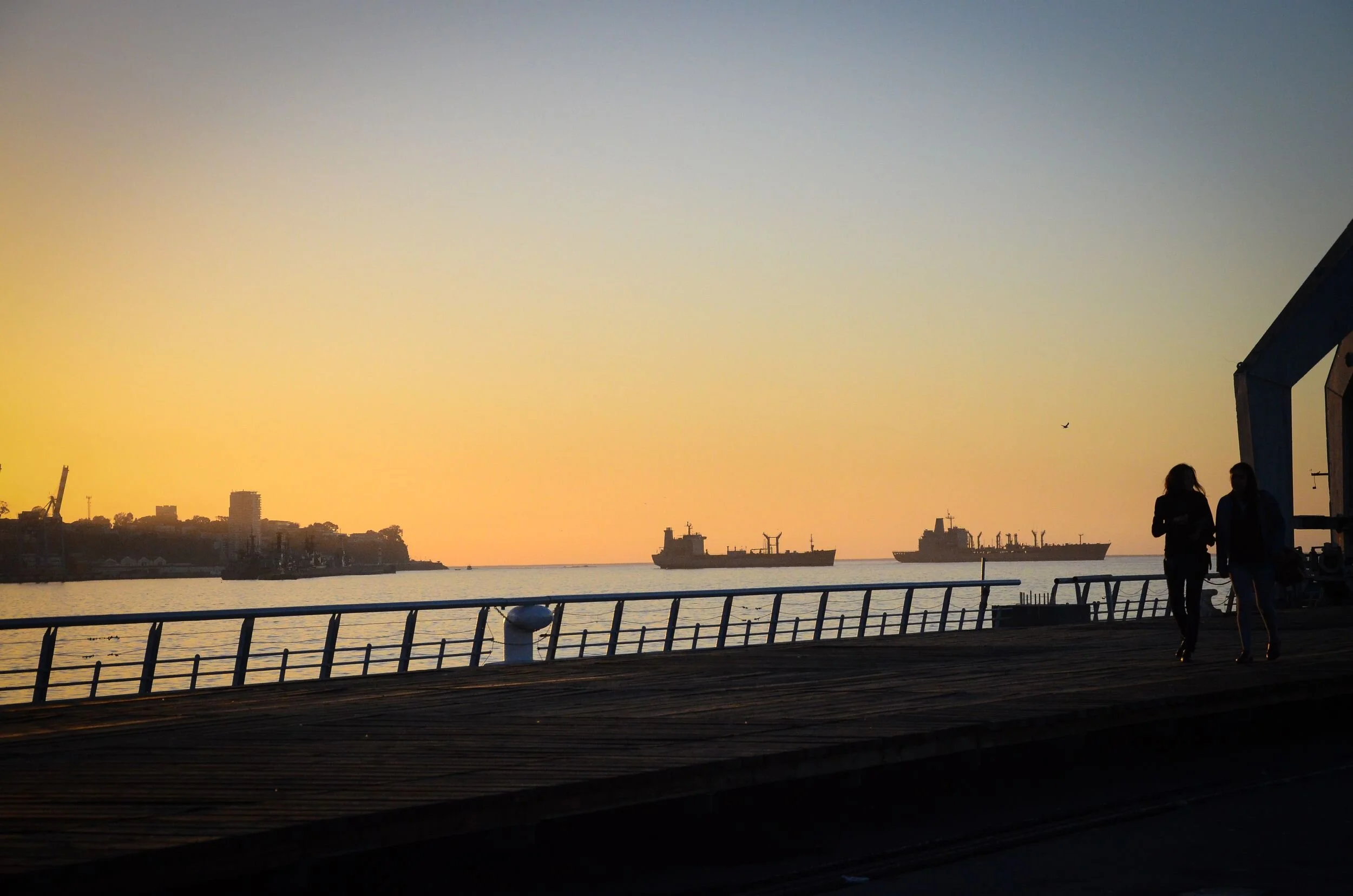 DSC_2653.jpg