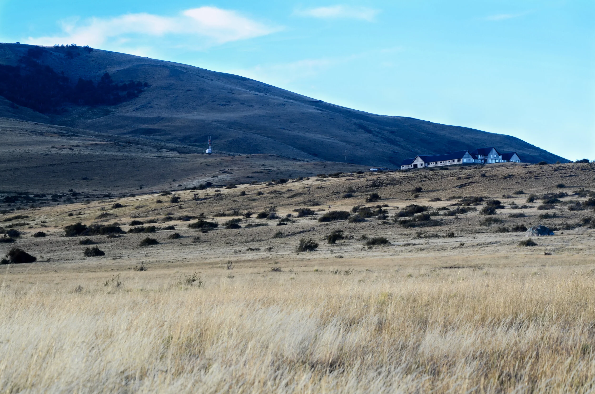 DSC_0926.jpg