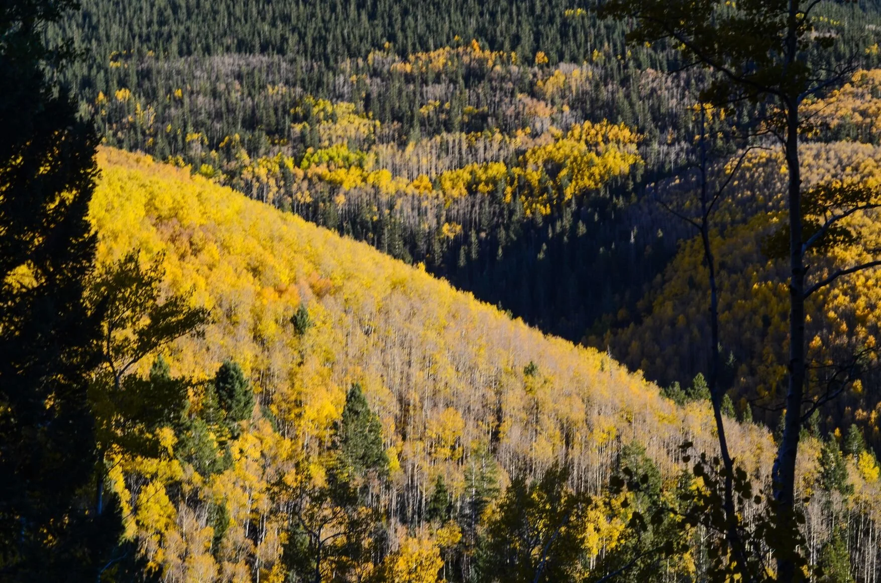 DSC_7168.jpg