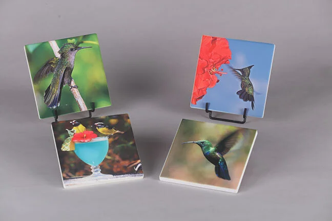 Square Coasters - Set of 4 -  $40