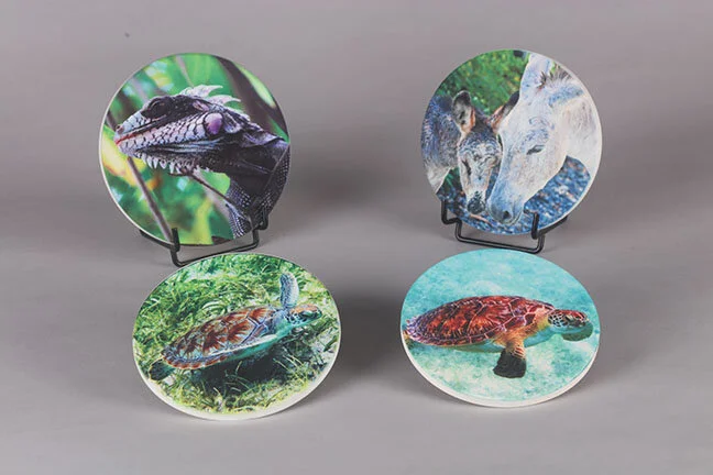 Round Coasters - Set of 4 -  $40