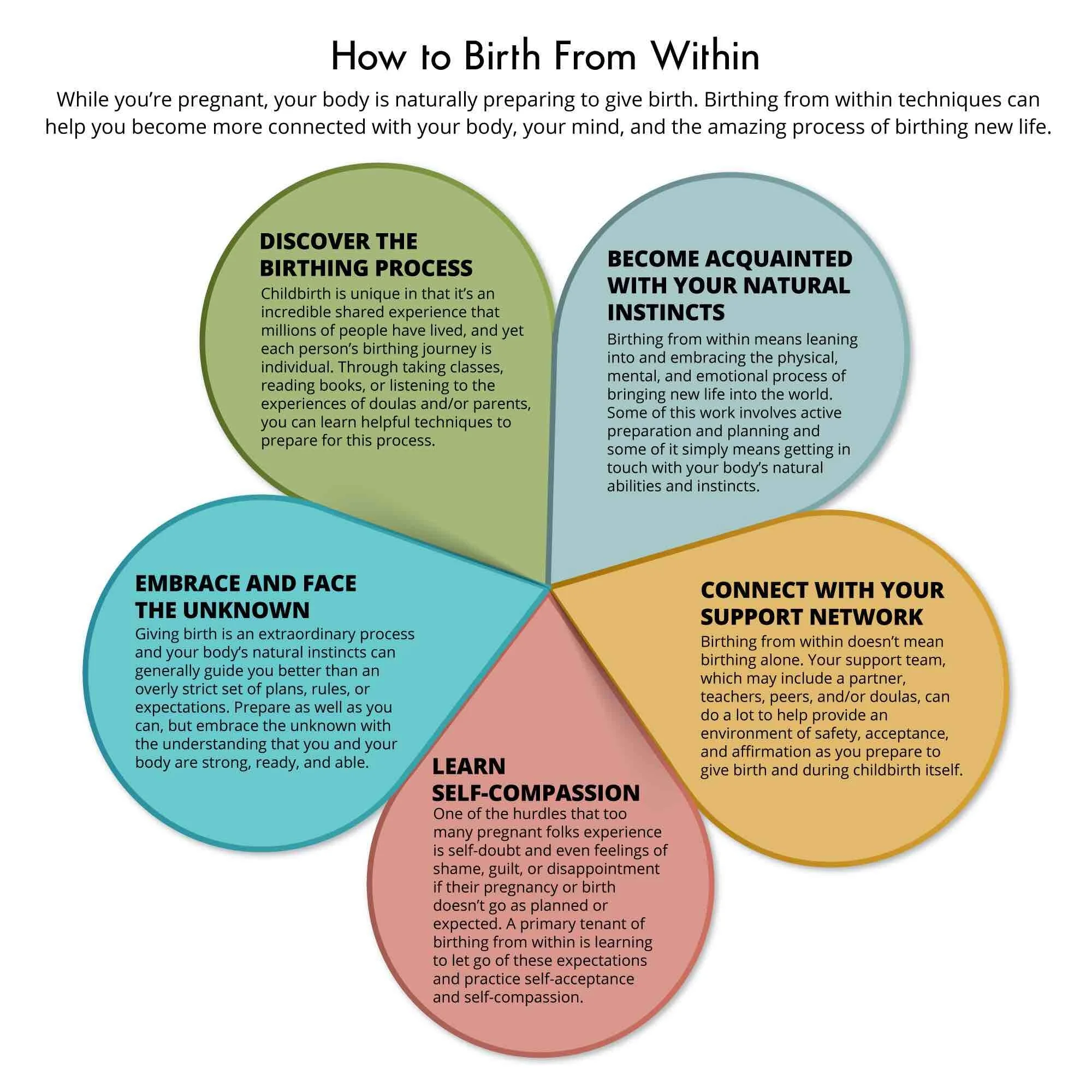 Birthing From Within The Essential Guide