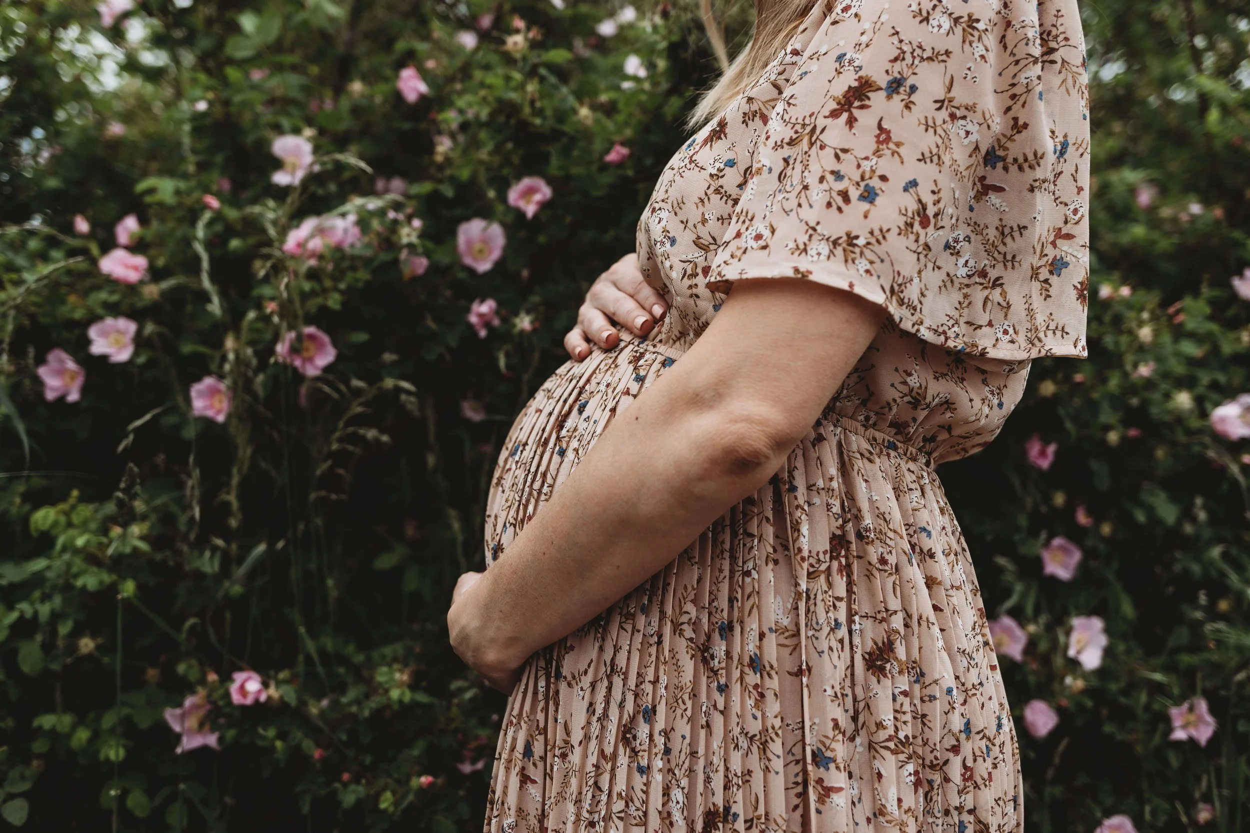 A person with a large pregnant belly in a long dress stands in front of a pink flowering bush.