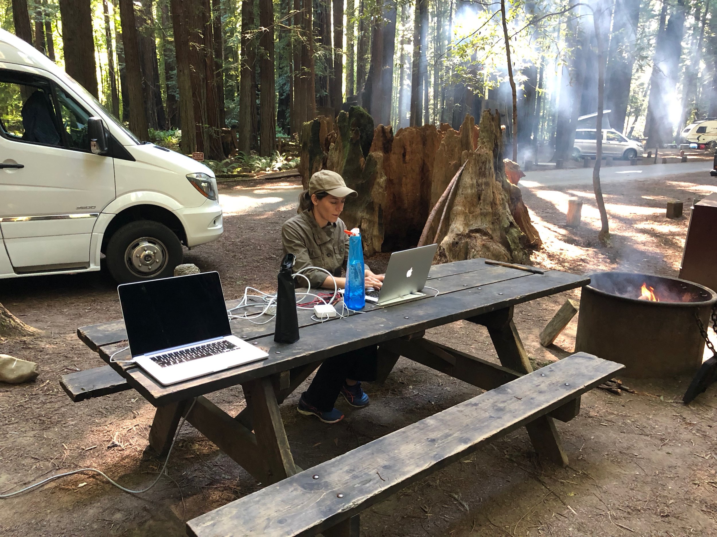 Working by a campfire among the redwoods, just like our ancestors