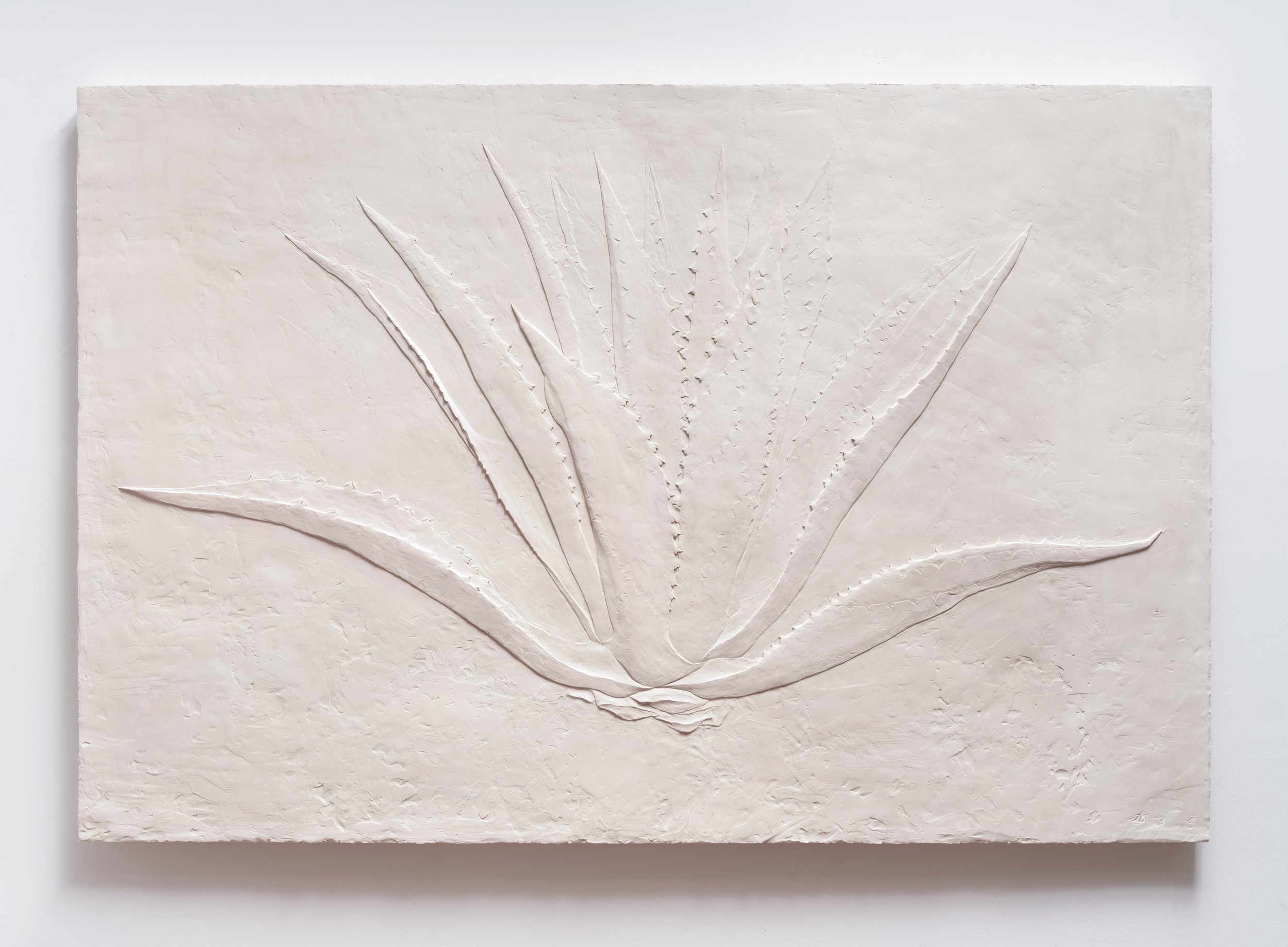   Agave , 2023 Gypsum cement, fiberglass cloth 48 x 72 x 2 inches  