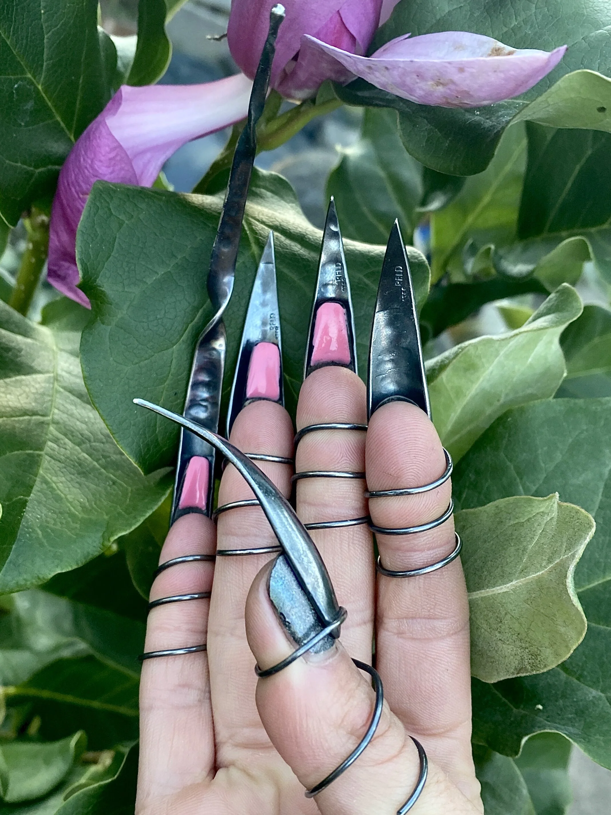 1ED244DF-6EDE-4FA8-9E6B-9736B93D2B49