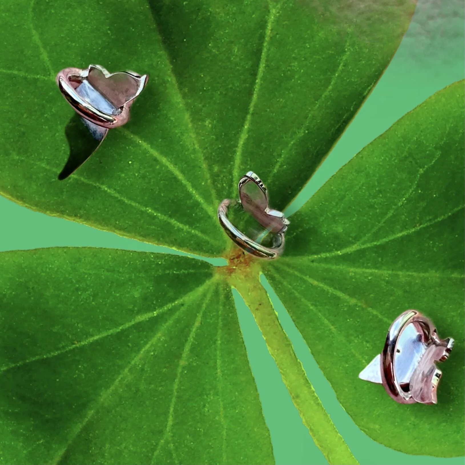 E8E9DA8C-333A-4198-9AD6-44AF8FAF6E8C