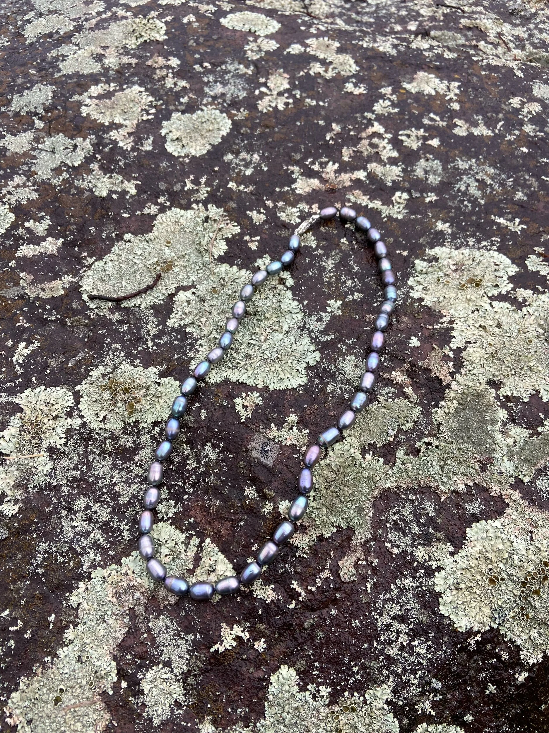 EE3871C5-0E34-443A-AA6D-21176A6580FF