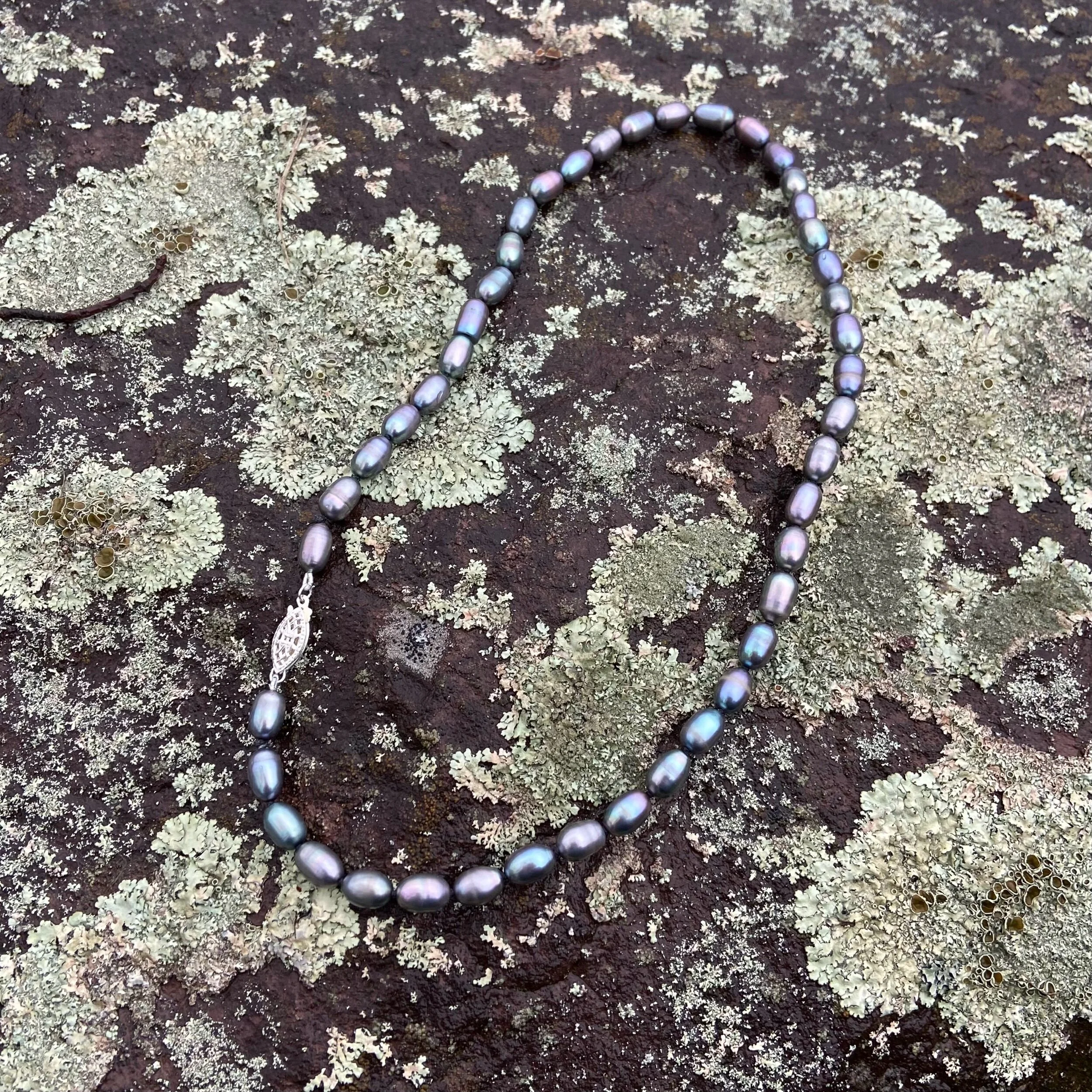 86131ACD-3499-4073-AEFF-AA1F0CC873EC