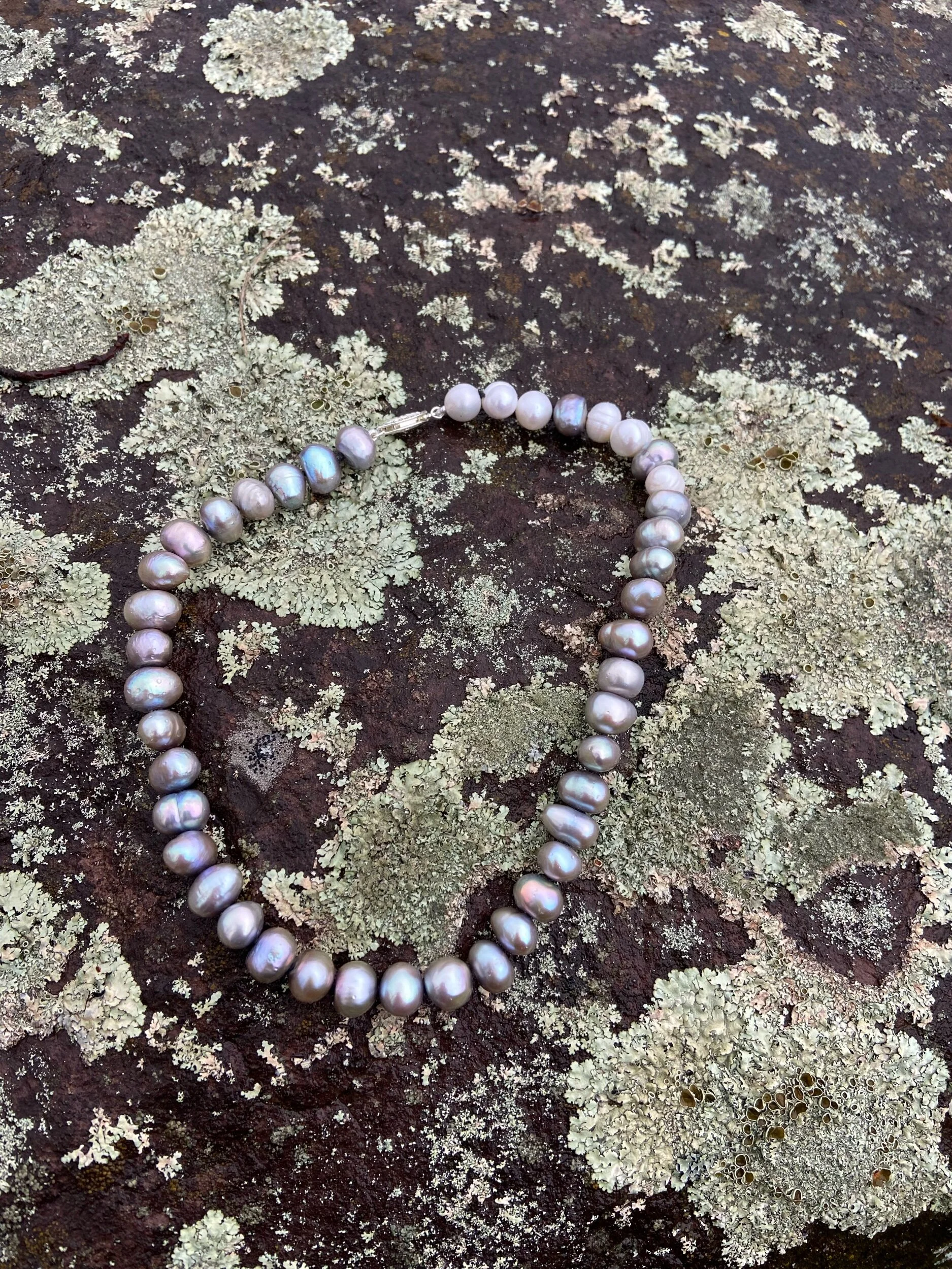 DFB0DAFE-EB9C-4487-882E-60716243DD3C