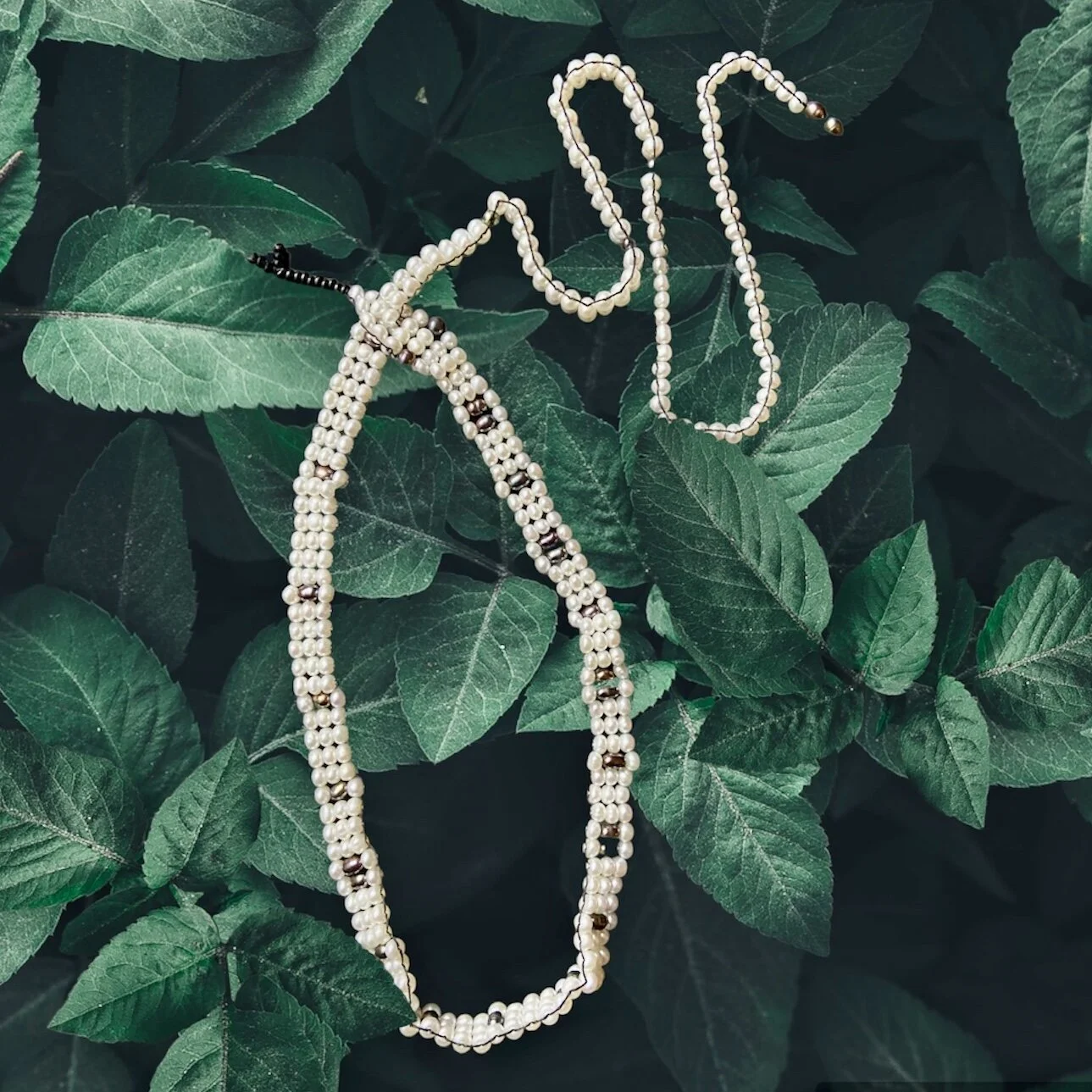 512A70A9-5E91-4D23-934F-79AF8FC53E85