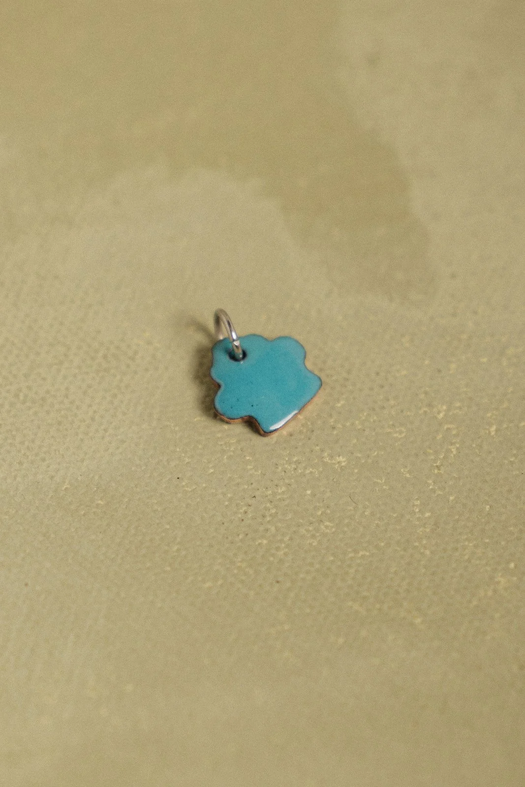 teal paw pool pass 2023.jpg