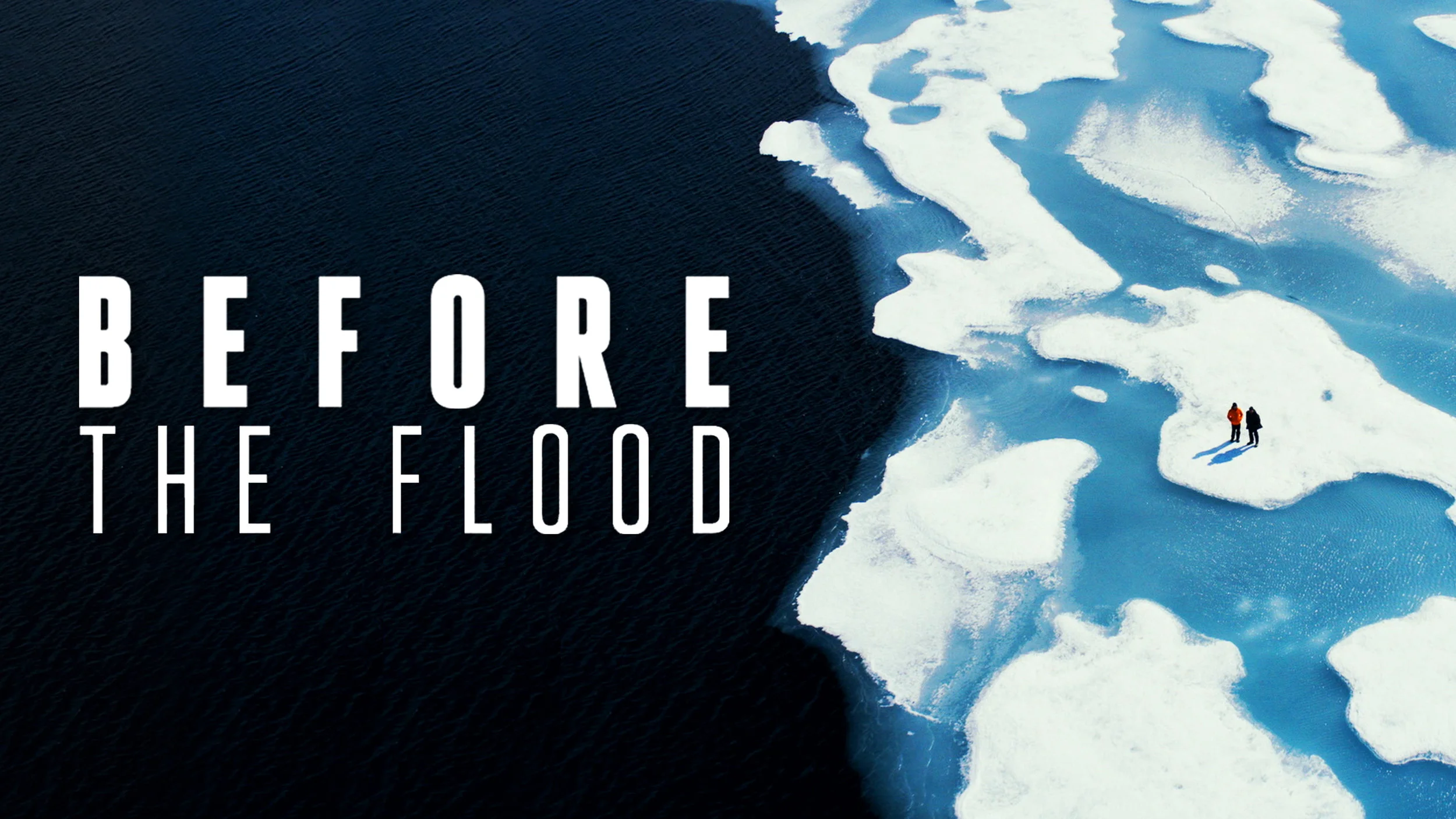 netflix-before-the-flood-t3tg4vwavv.jpg