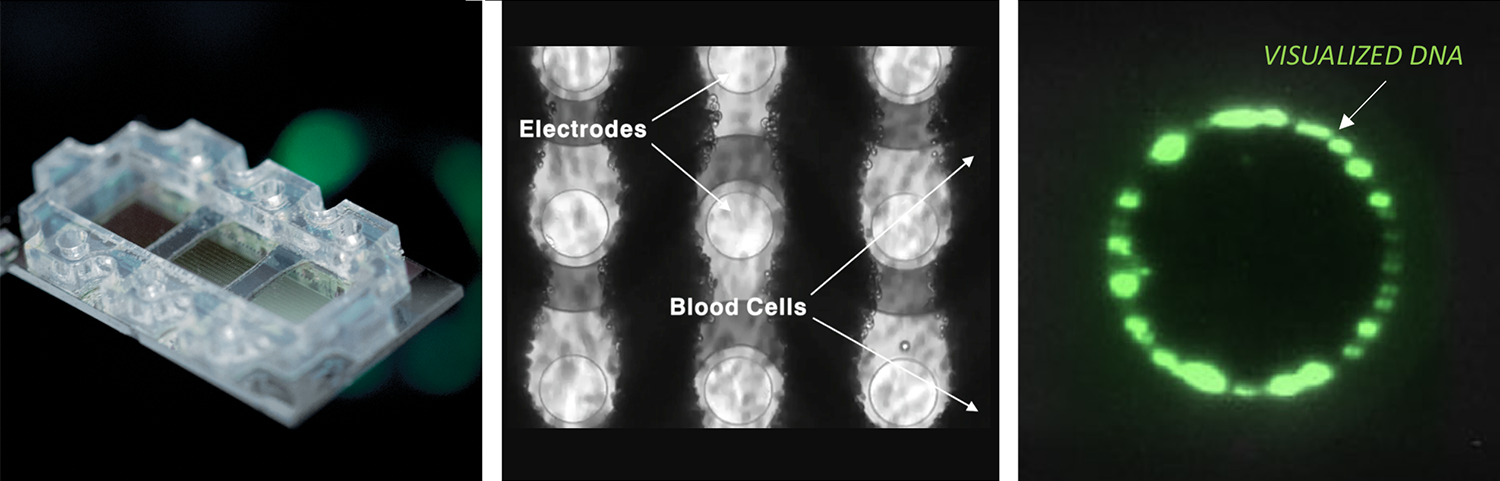 in whole blood, serum or plasma samples, the platform isolates naturally occurring (endogenous) nanoparticles and biomolecules within 50nm - 1000nm range, such as cell free DNA, extracellular vesicles, and aggregated proteins.