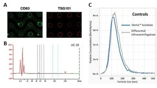 Exosome Isolation and Analysis Services — Biological Dynamics - Exosome ...