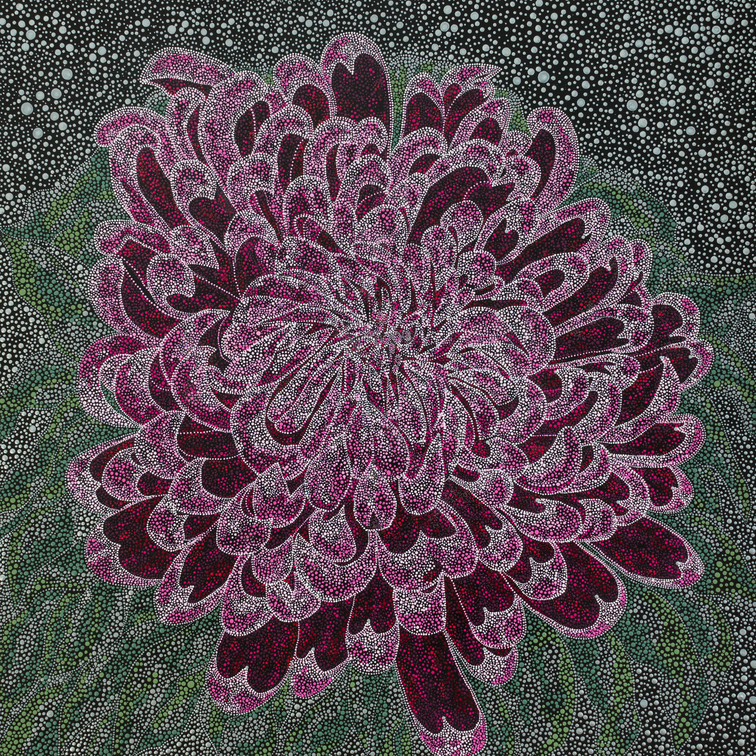 Star of chrysanthemum
