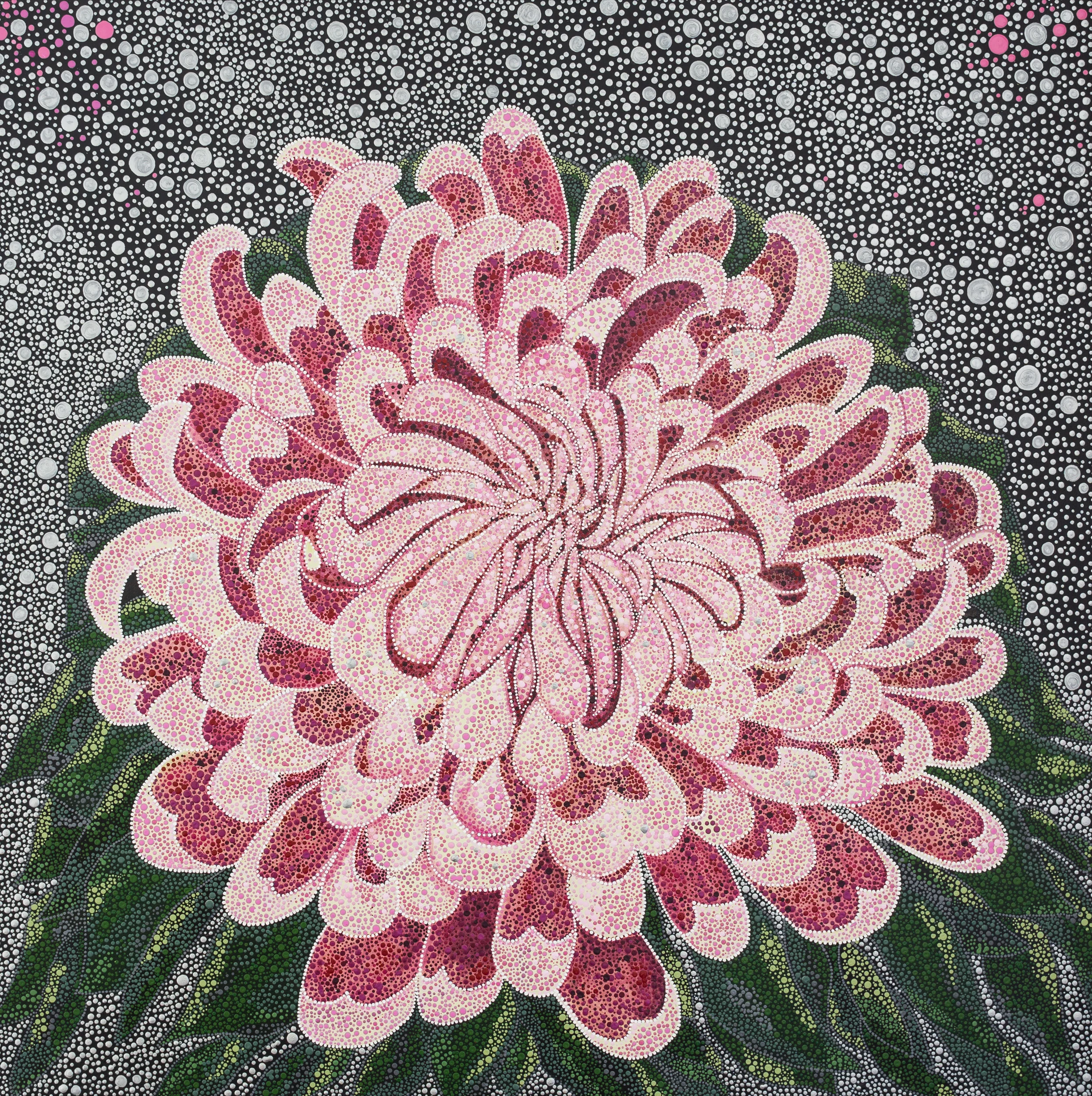 Big Chrysanthemum