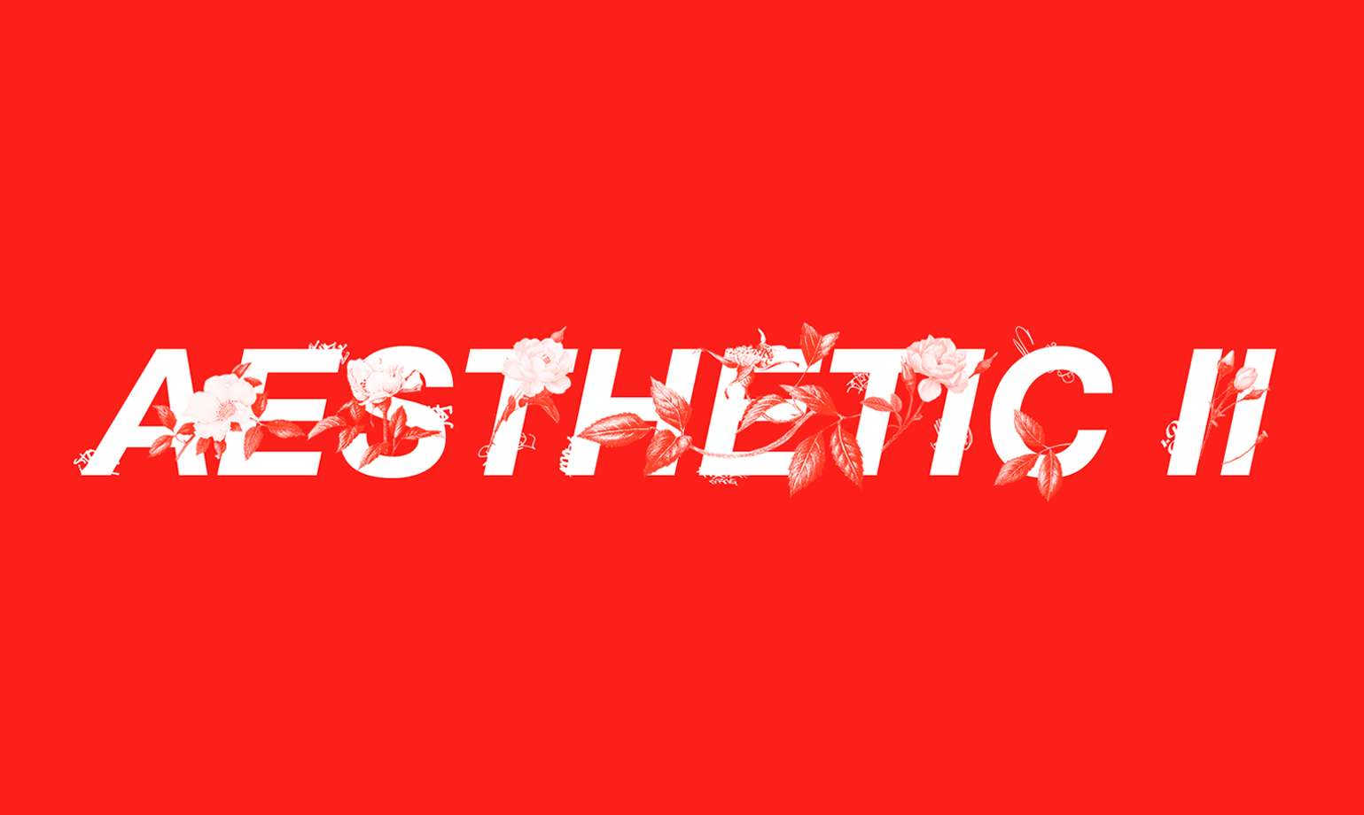 DG__0154_Aesthetic2Maintitle.png