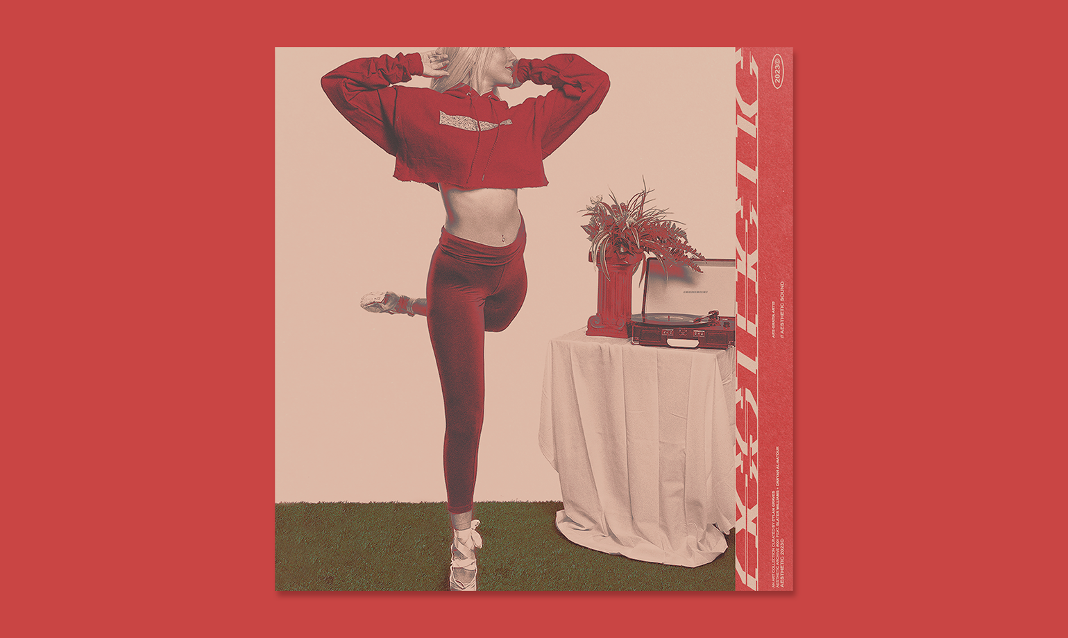 DG__0156_AestheticArchvies0009.png