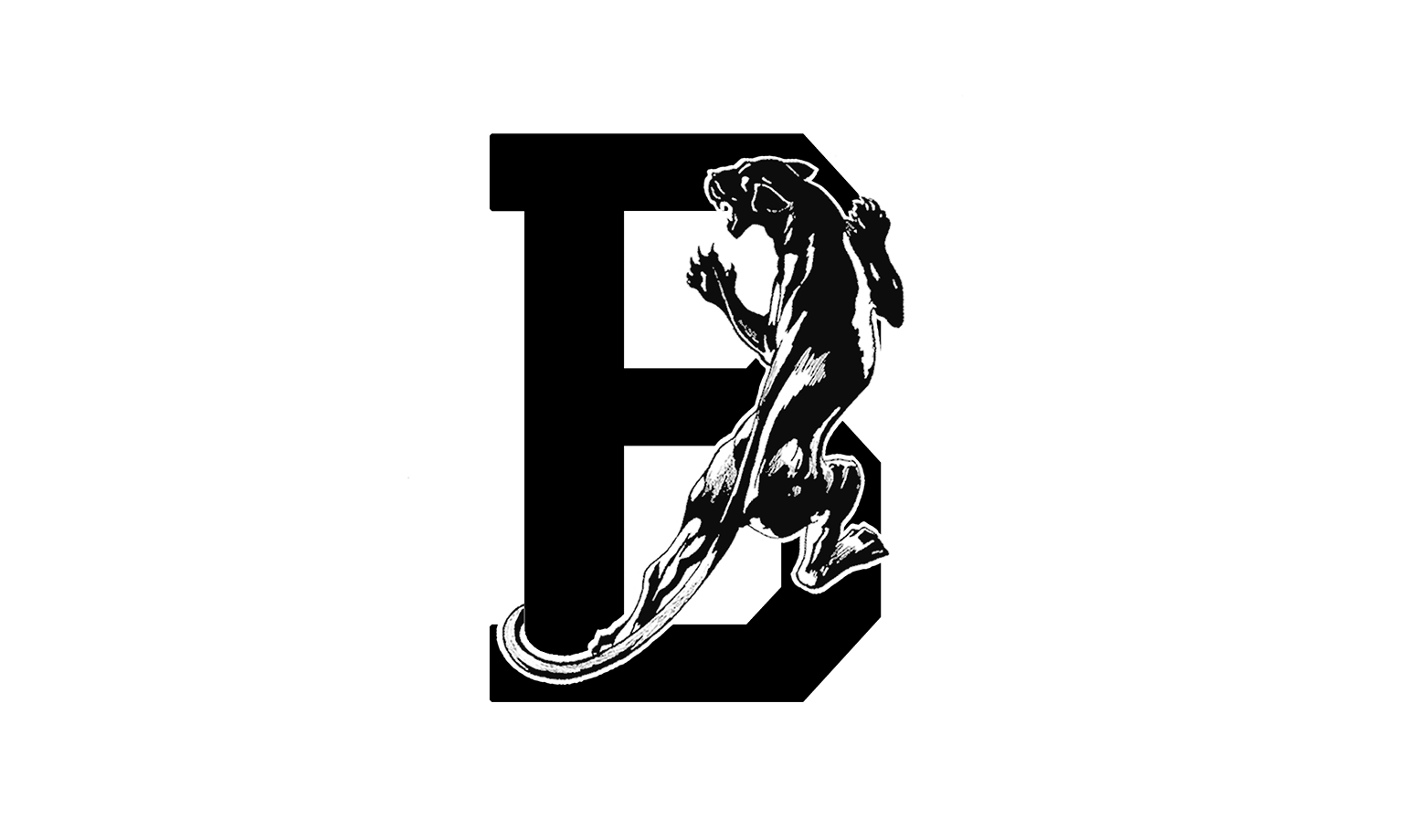 DG__0081_BlackPantherVintageDesigns.png