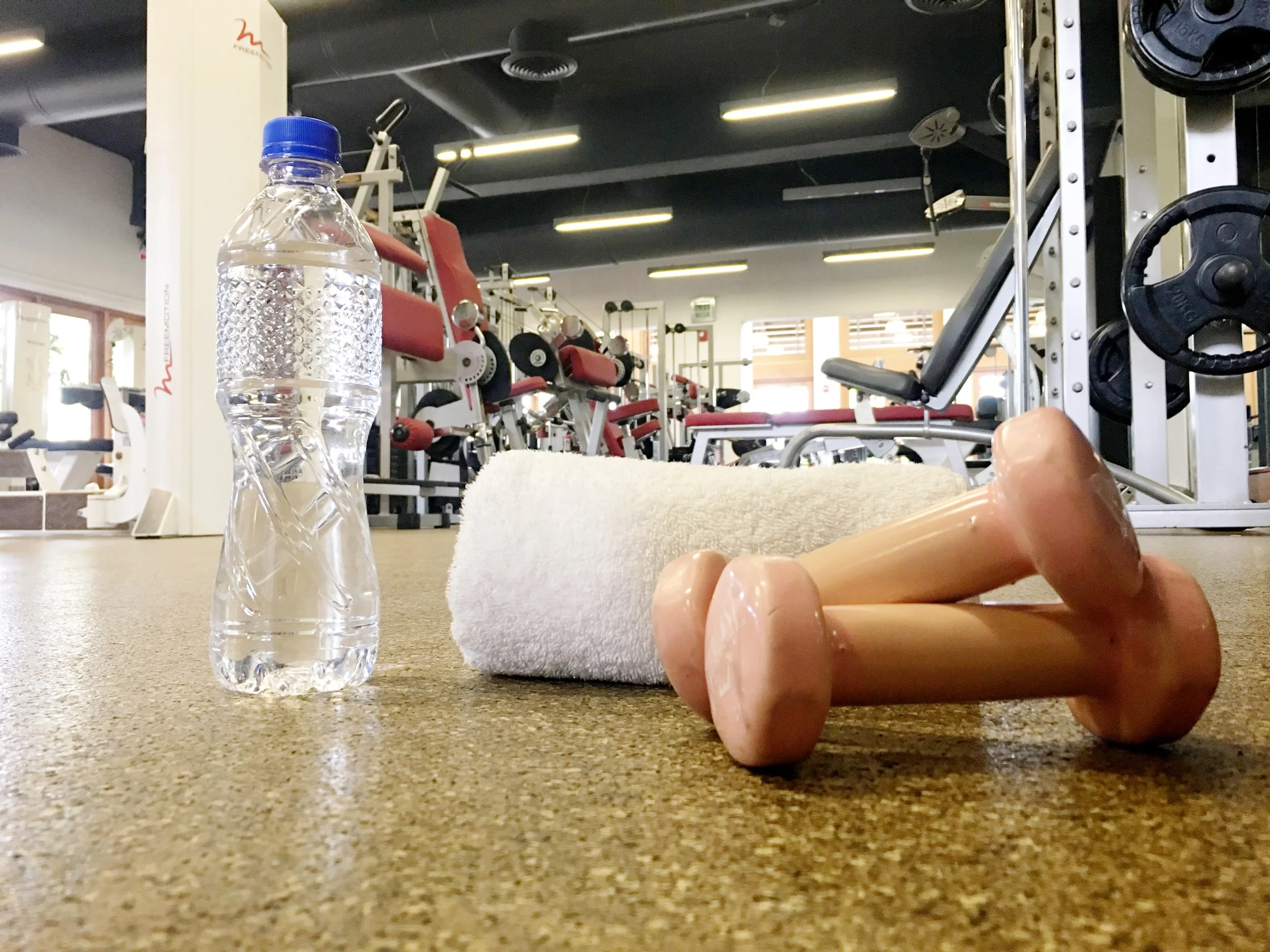 Mis Esenciales Para El Gym