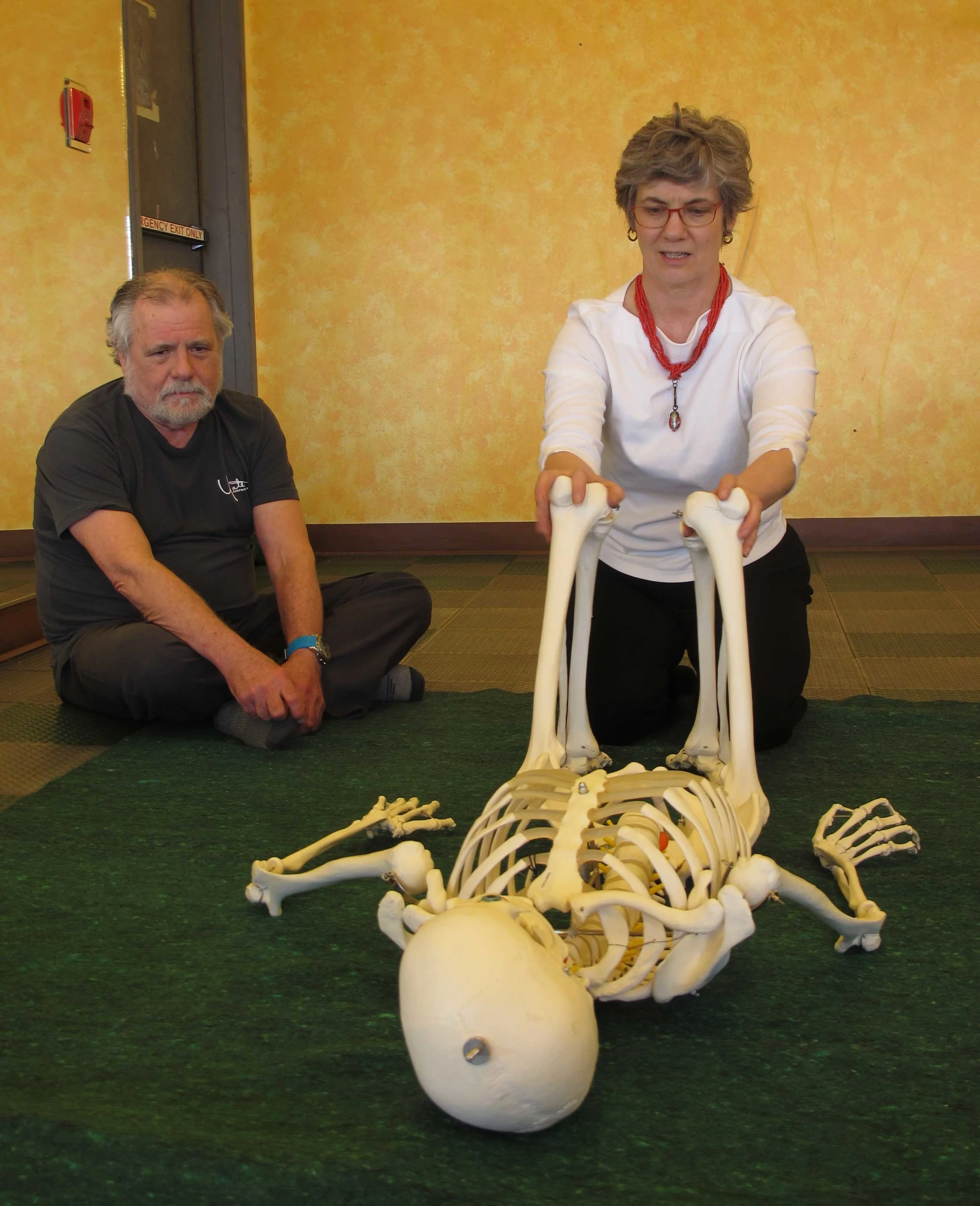 "Skinny Rick" our skeleton friend helps to bring the awareness to our structure during Awareness Through Movement lessons.