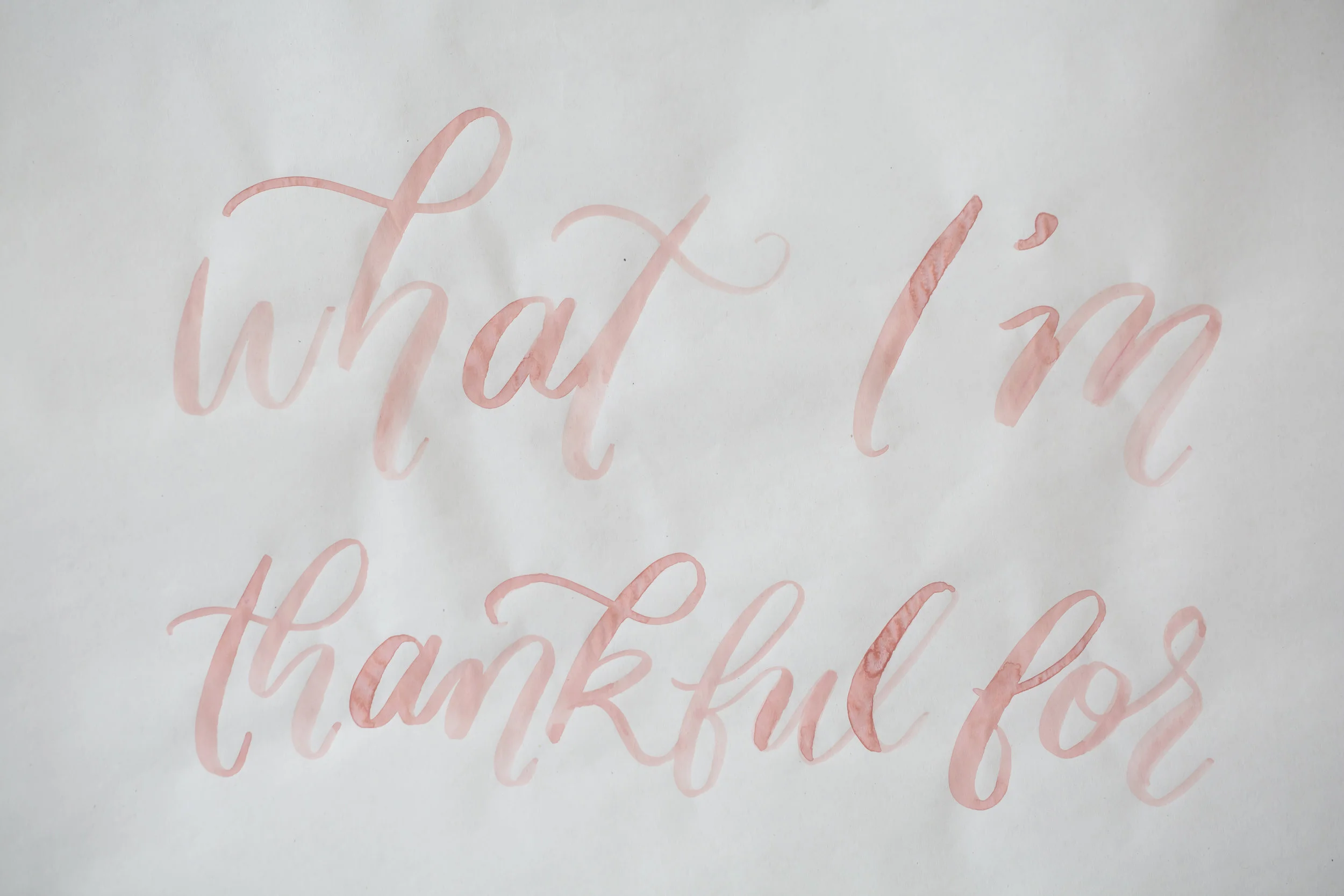 Greetabl_Friendsgiving-36.jpg