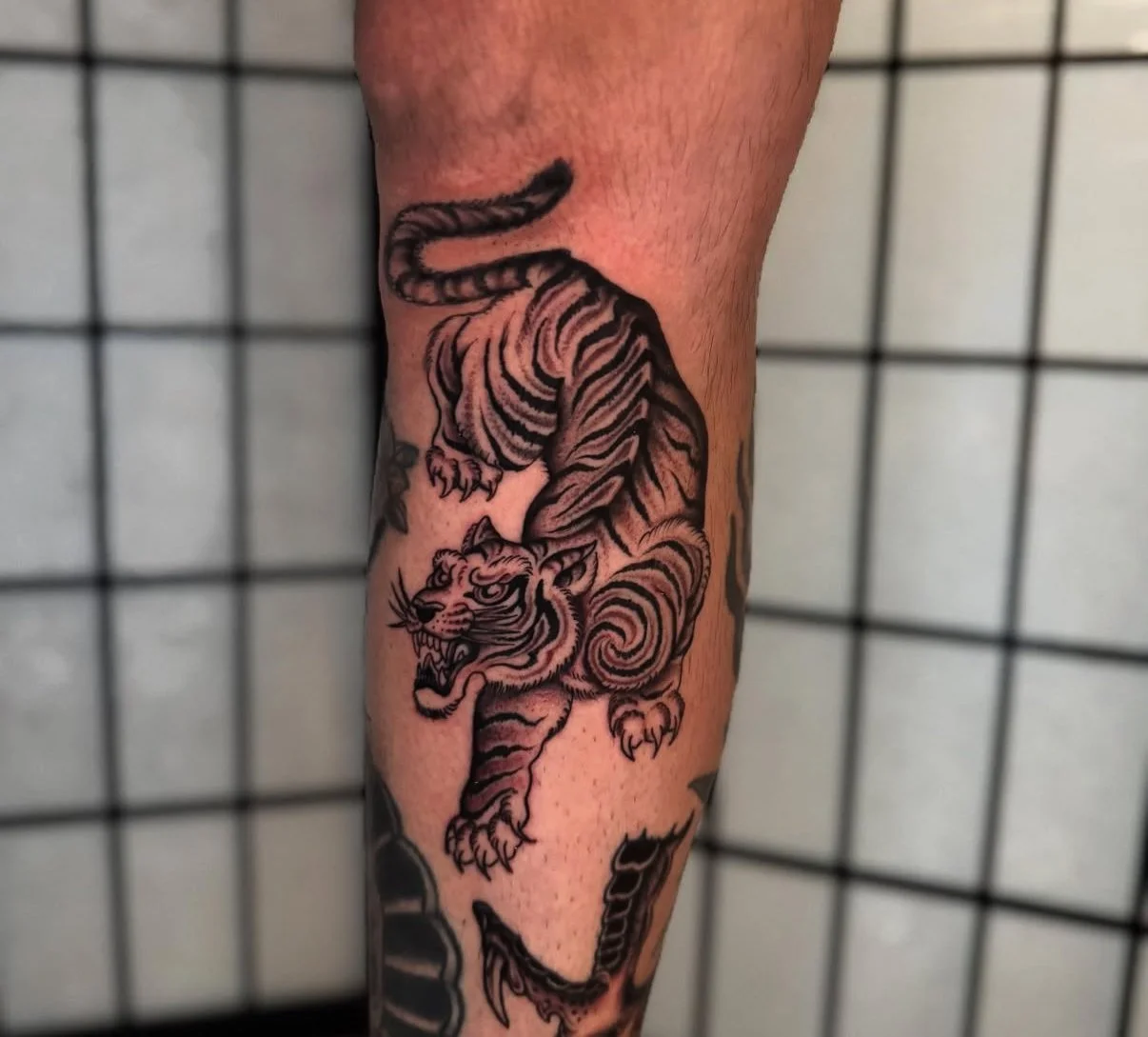 Traditional tiger tattoo completed at Superfly Tattoo in San Diego