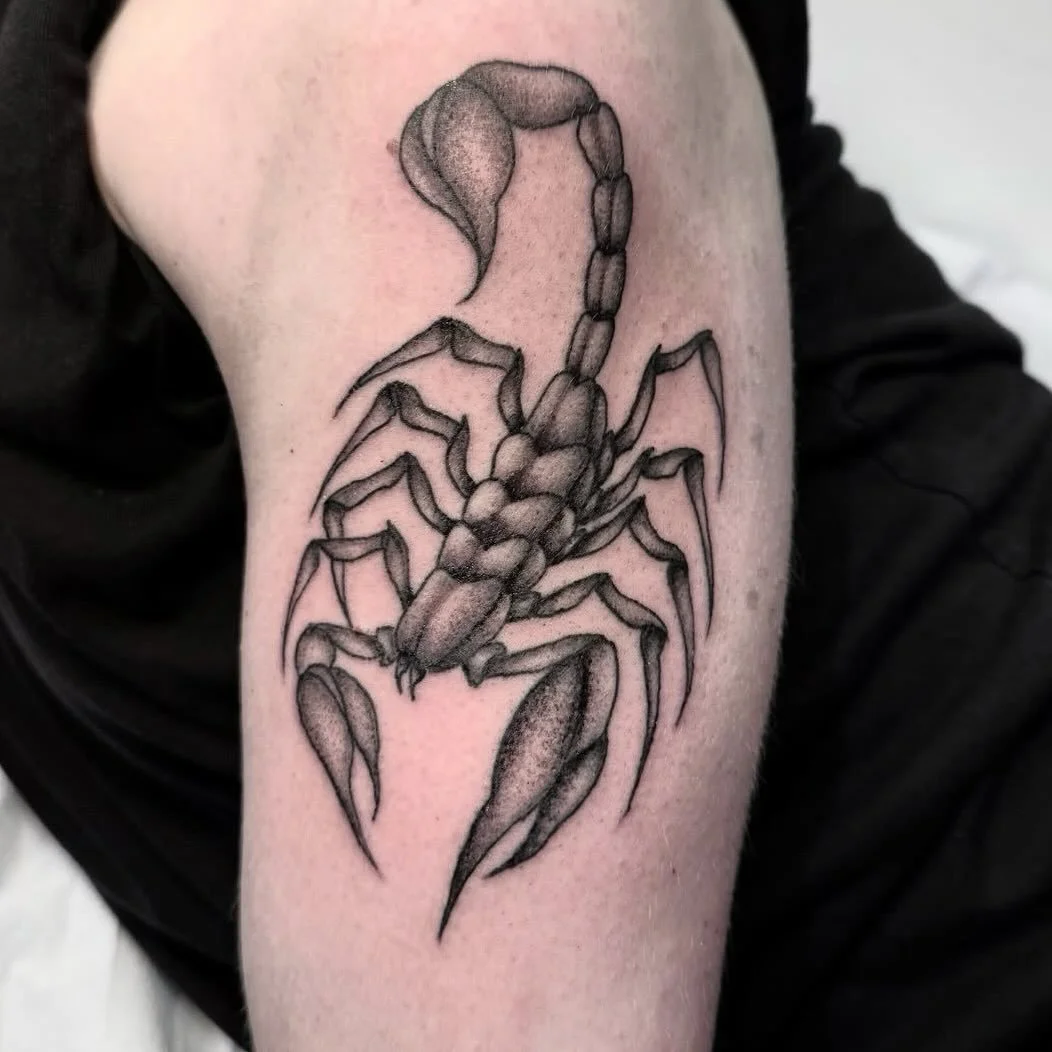 @j.espino_ got to stretch his legs out
with a fresh walk-in on his first day.
•
ALL STYLES, ALL SIZES, ALL WELCOME!
Want something custom?
Visit our website and book a
consultation online;
π WWW.SUPERFLYTATTOO.COM π
•
#tattoo #sd #