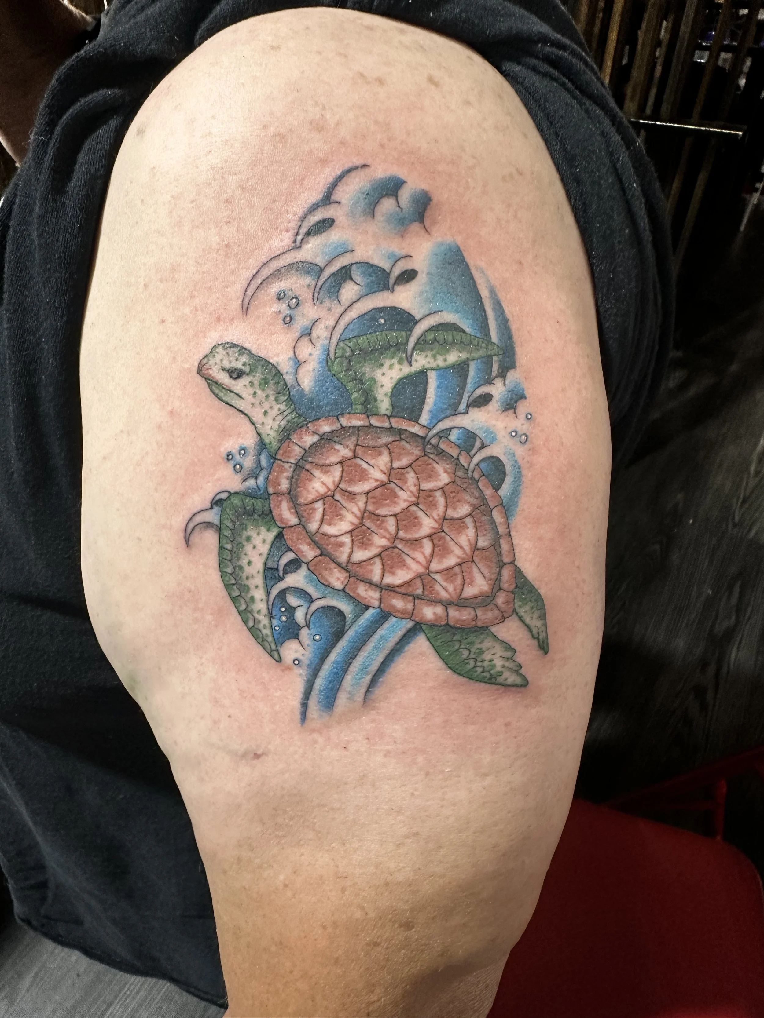 illustrative turtle tattoo by Dominic Vasquez at Superfly Tattoo in San Diego, California