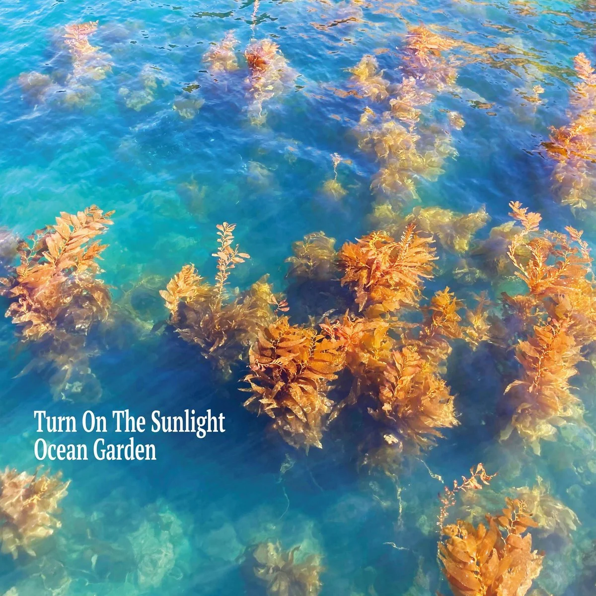 Turn On The Sunlight 'Ocean Garden' - Tim O'Sullivan mastering