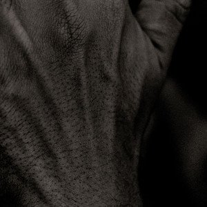 Close-up of a dark gray or black textured fabric, possibly a piece of clothing or upholstery.