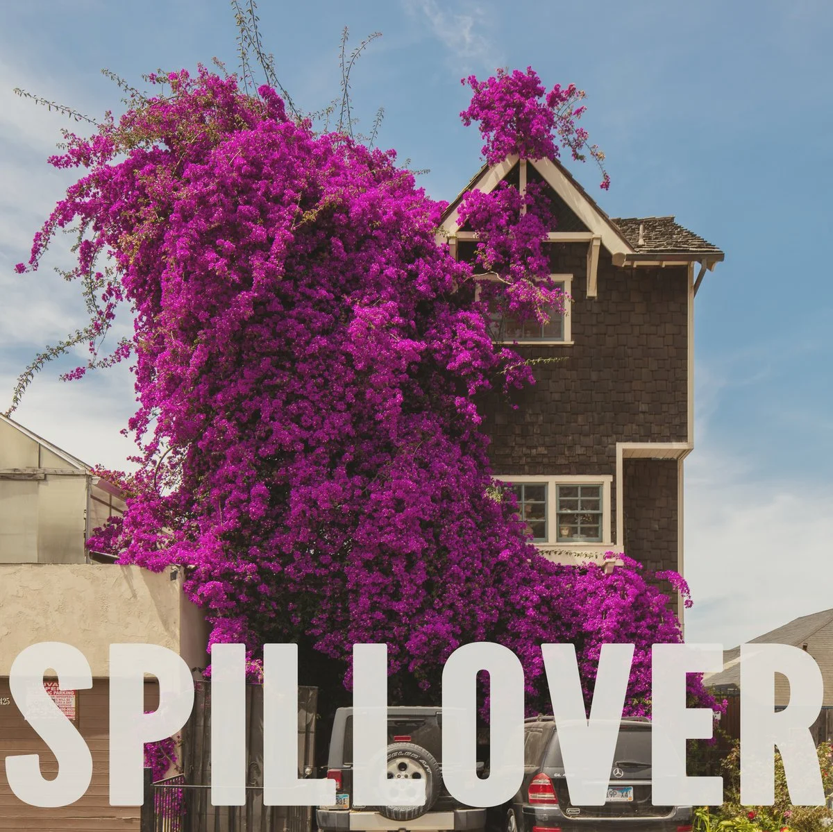 A large pink bougainvillea bush growing on a multi-story house with a dark brown exterior, set against a blue sky with some clouds.