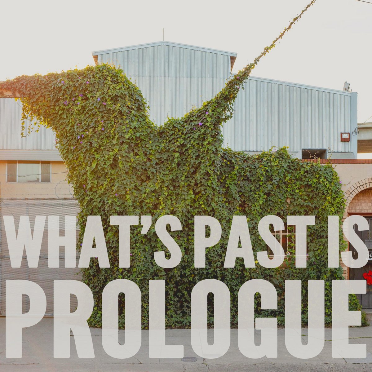 Dark Rooms 'What's Past is Prologue' - Tim O'Sullivan Engineer