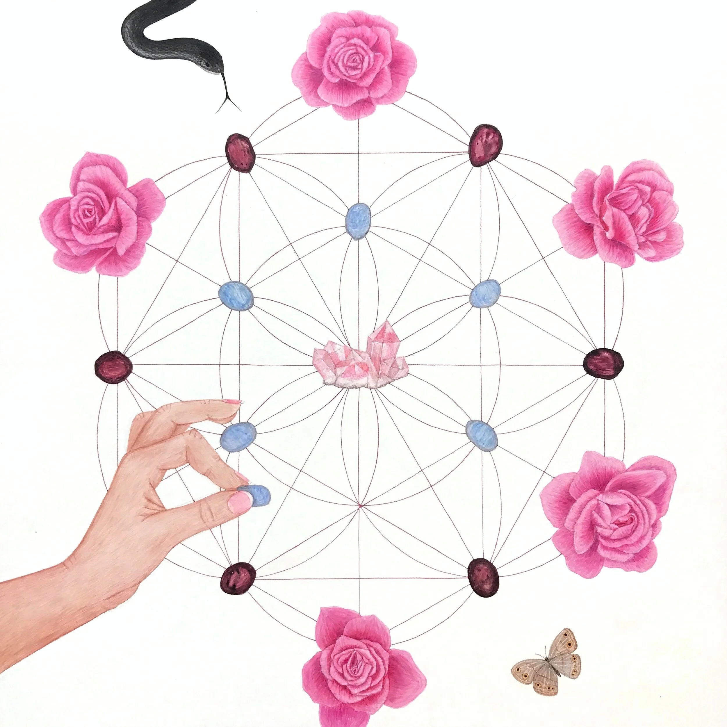 Under the Rose