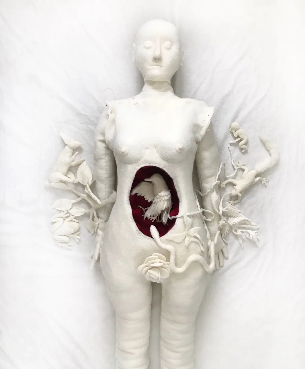 Solo Exhibition: The Frequency of Roses  Susan Jamison