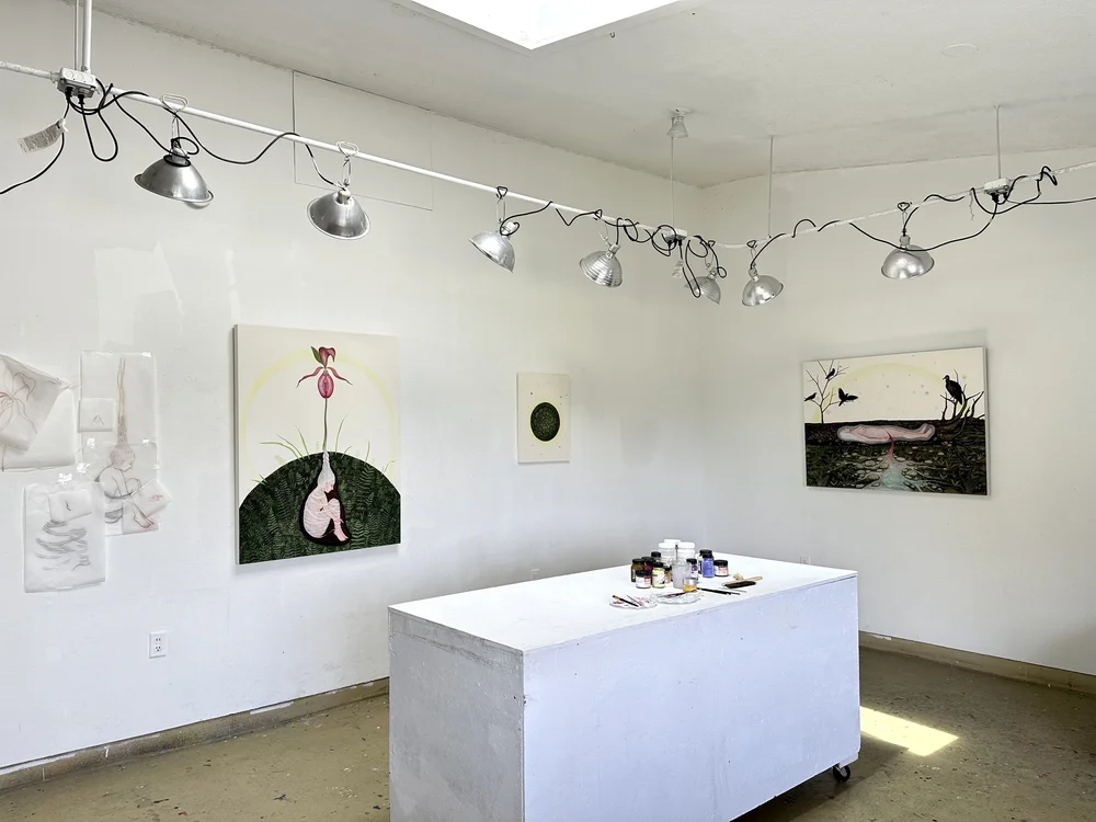 Solo Exhibition: The Frequency of Roses  Susan Jamison