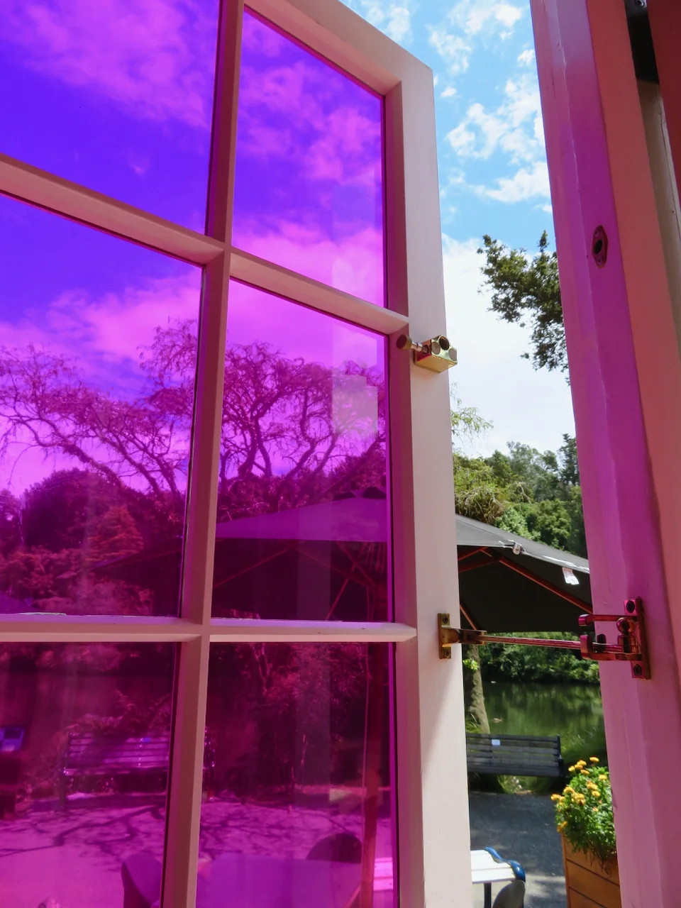 Wisteria view 1