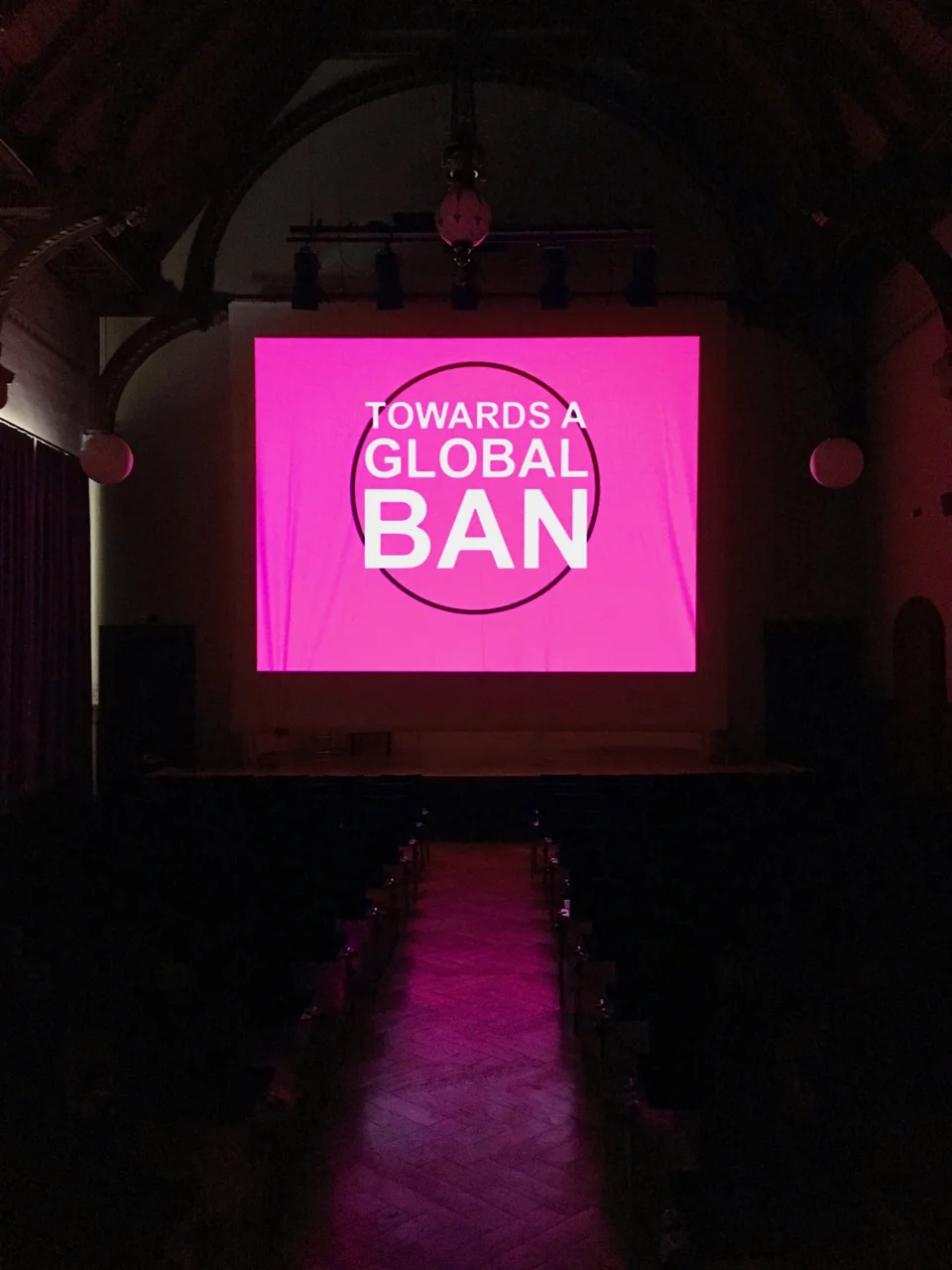 Towards a Global Ban (view 5)