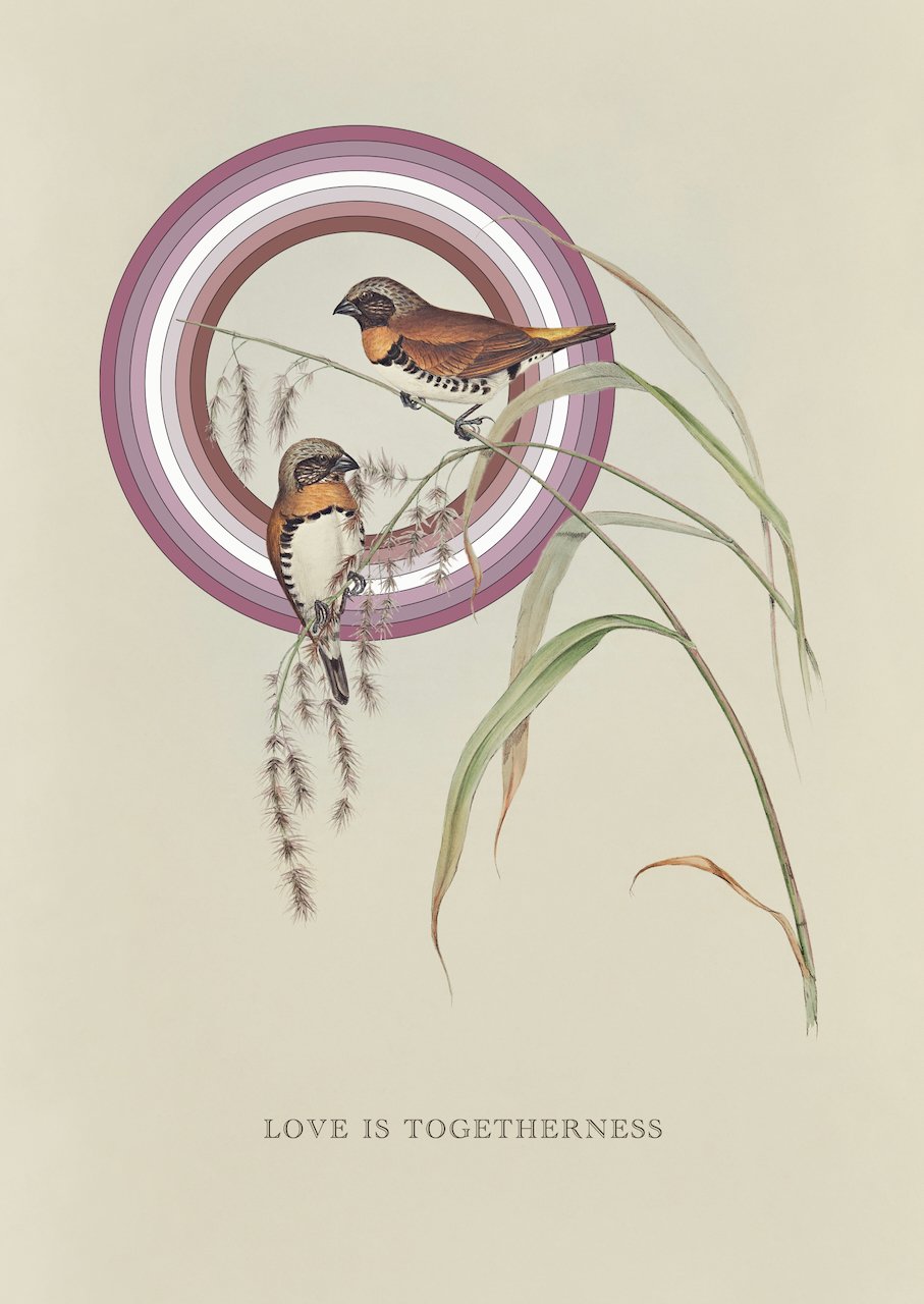 Queensland Museum 2021 illustration 9.jpeg
