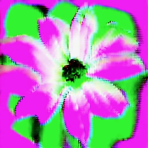 Telomere diffusion model 2026 flower colour collapse 12.jpeg