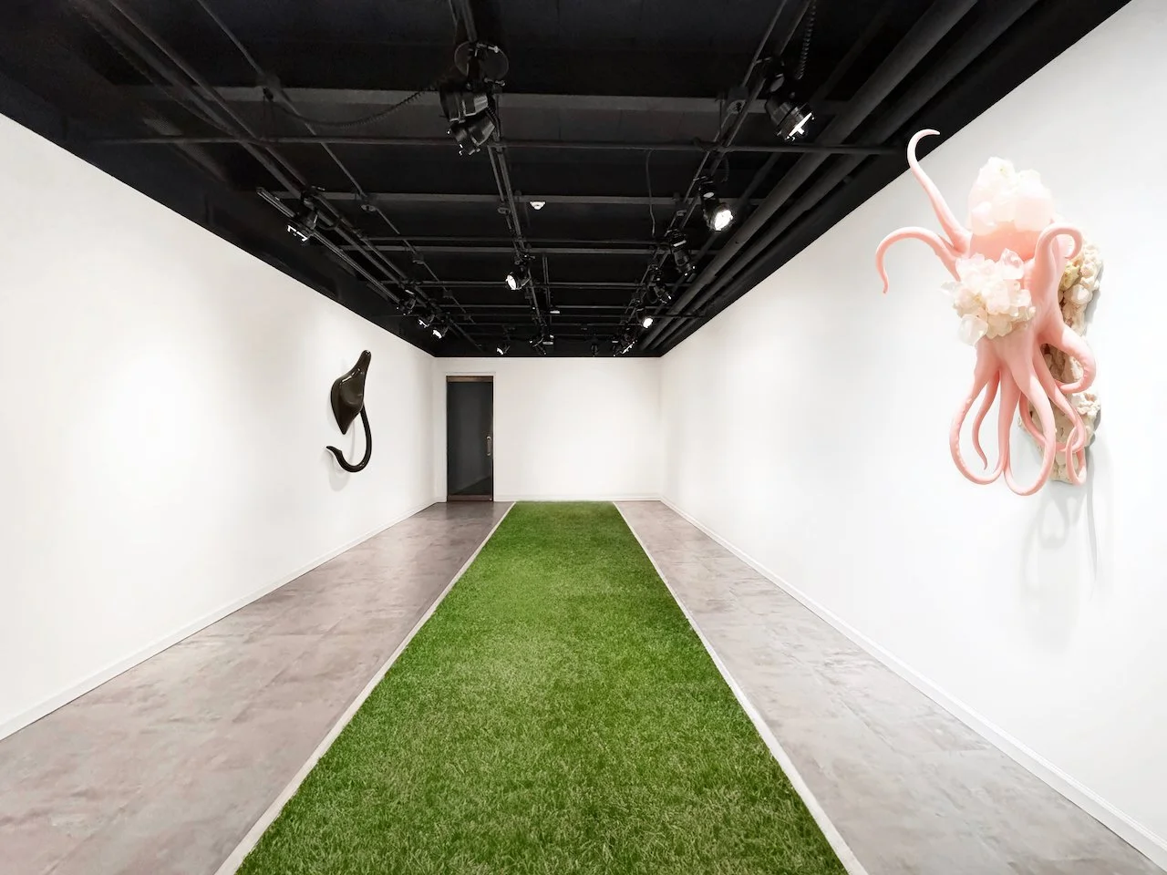 St Lawrence University 2024 gallery section 5v2.jpeg