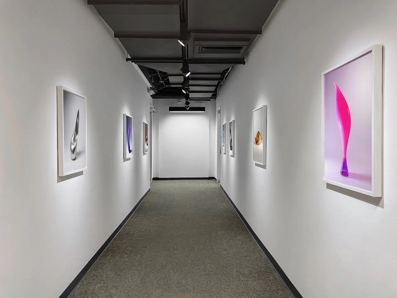 St Lawrence University 2024 gallery section 3.jpeg