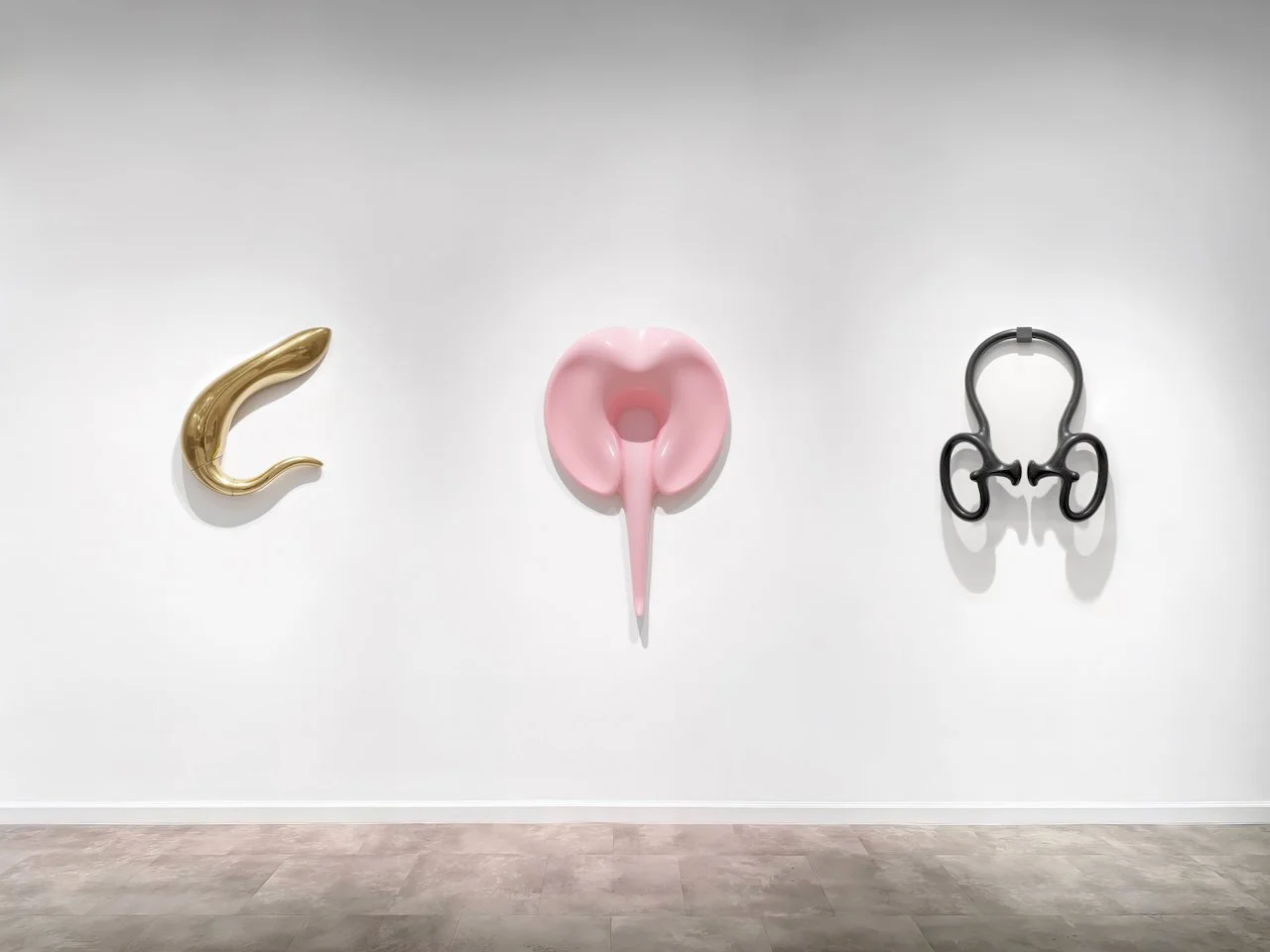 St Lawrence University 2024 gallery section 4.jpeg