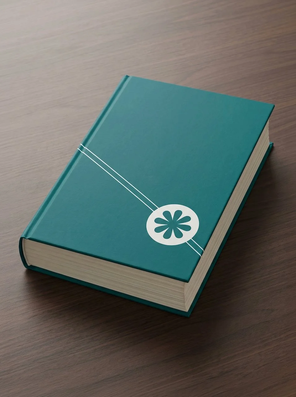 Still an Oasis 2026 Torch 26 book.jpeg