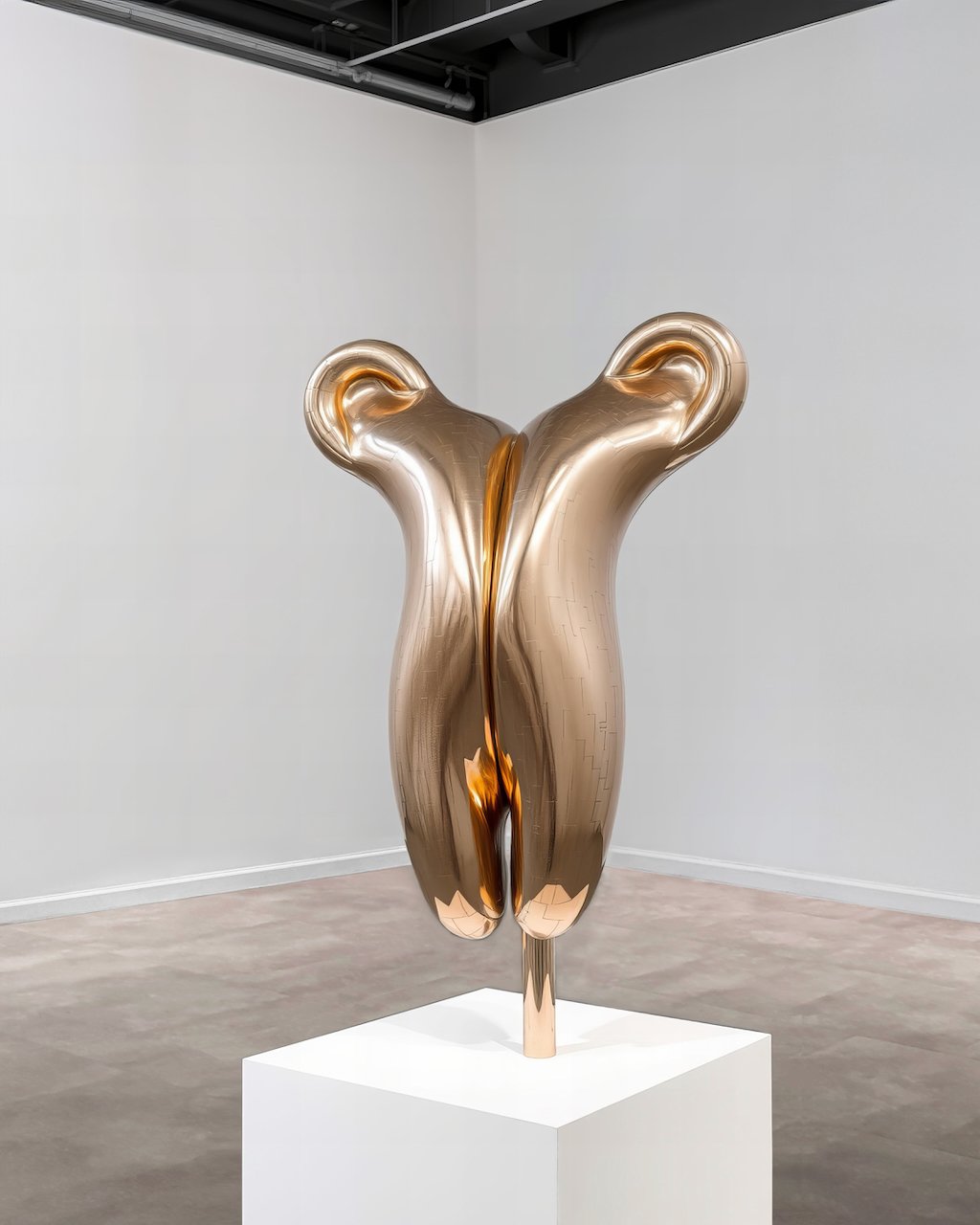 St Lawrence University 2024 gallery work 1.jpeg