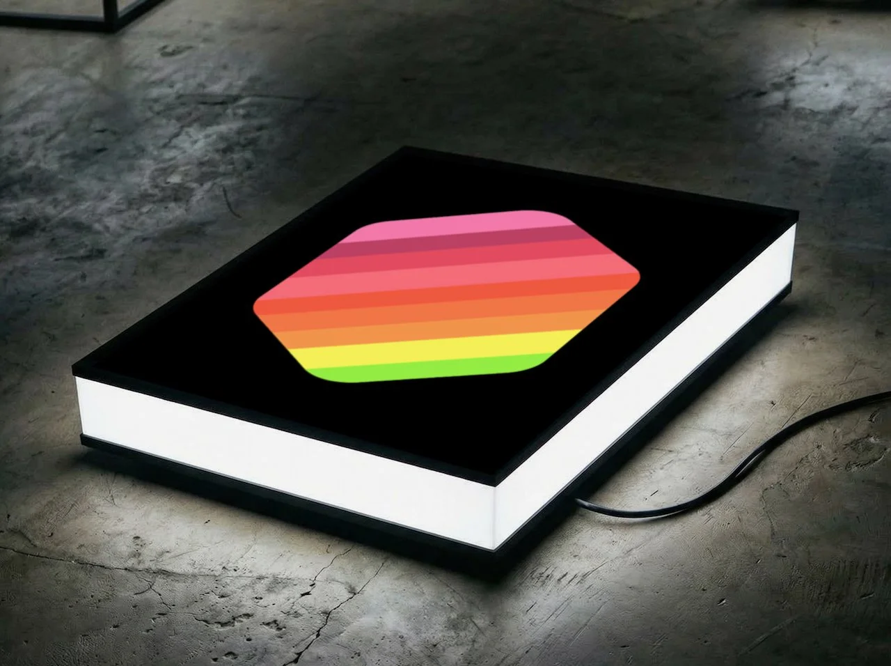 20 Queer Flags 2022 installation view 2.jpeg