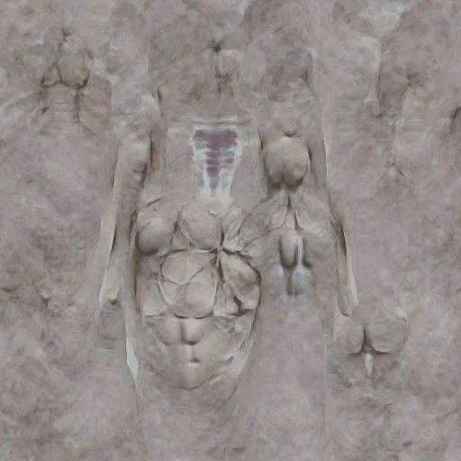 12 Queer Bodies 2021 Novak 10.jpeg