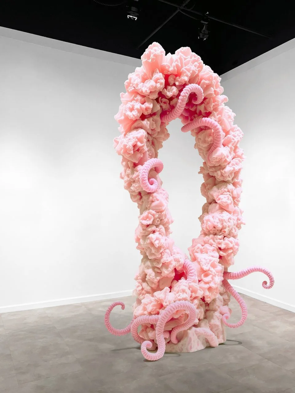 St Lawrence University 2024 gallery section 2.jpeg